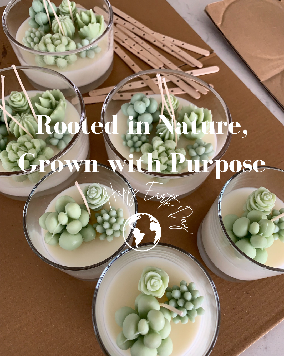 Rooted in Nature, Grown with Purpose