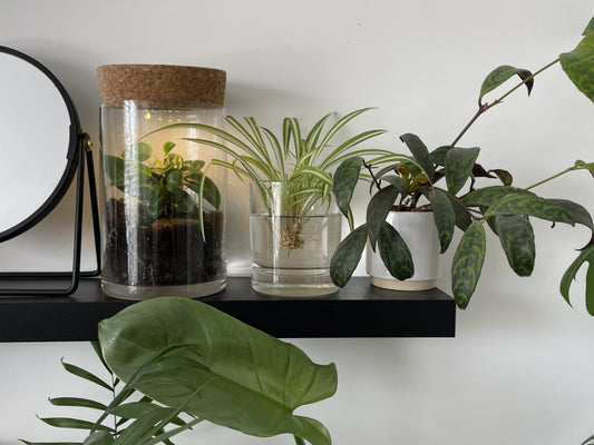 recycled candle jar