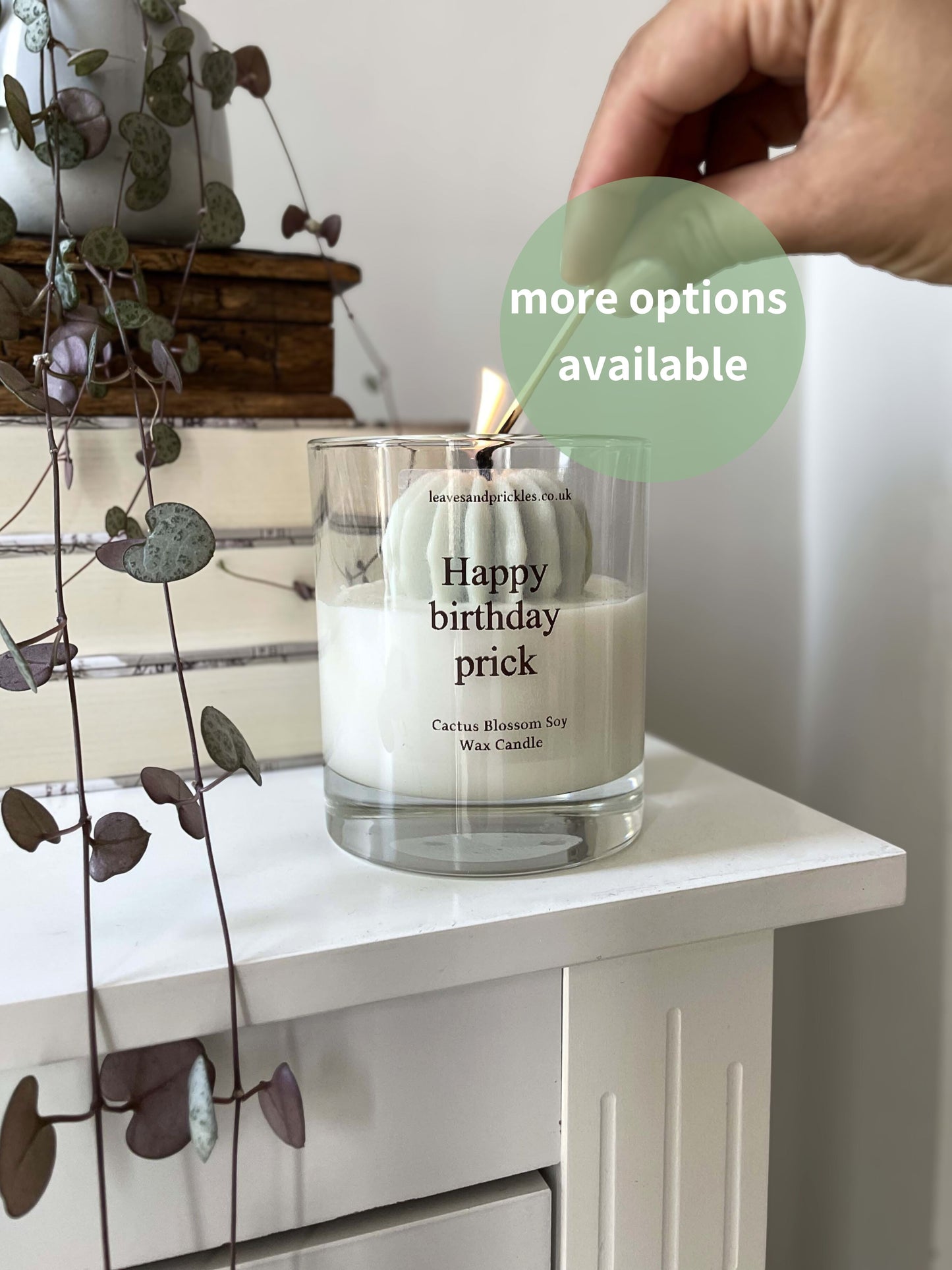 Birthday gift cactus candle in glass jar