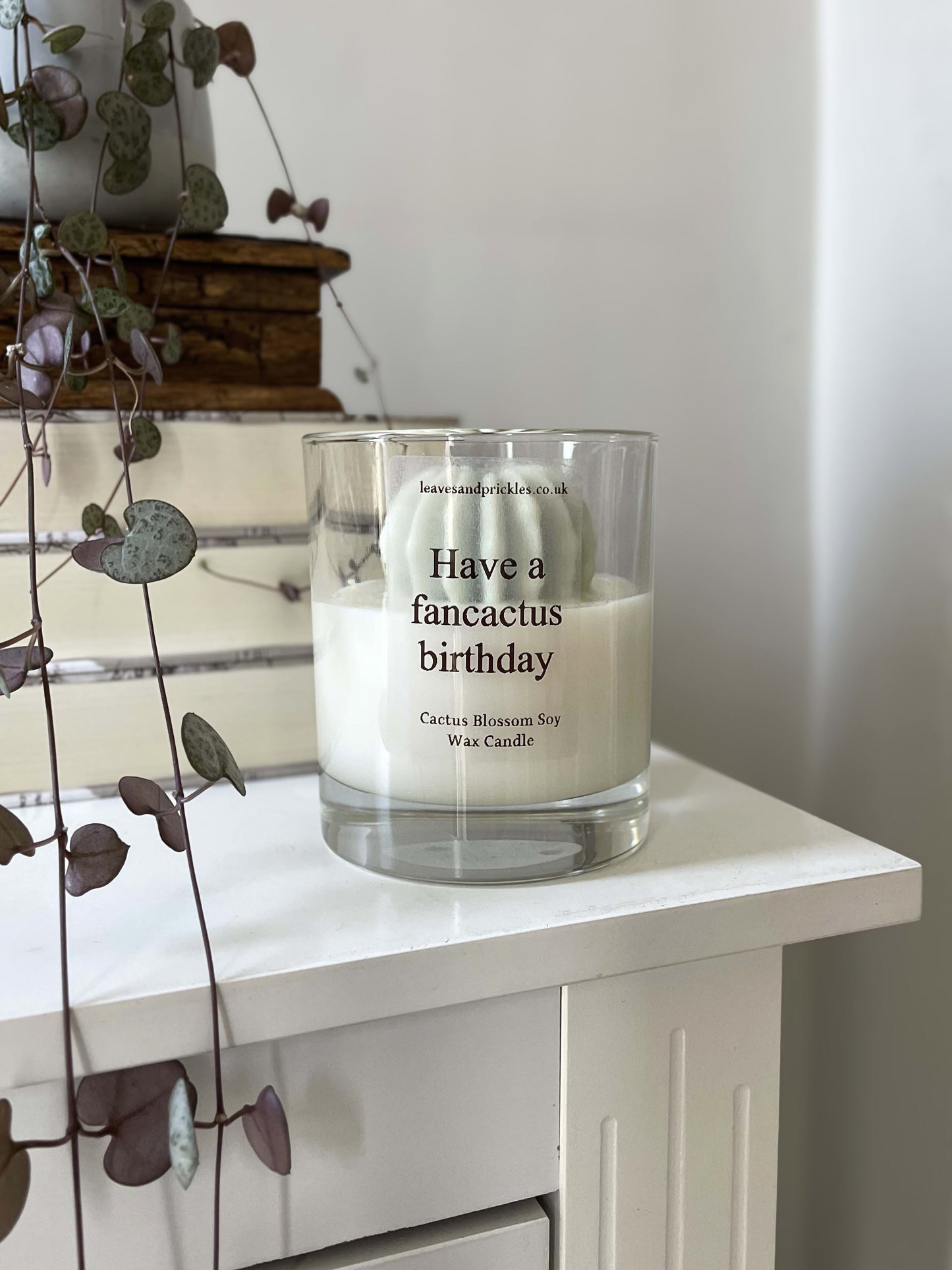 Birthday gift cactus candle in glass jar