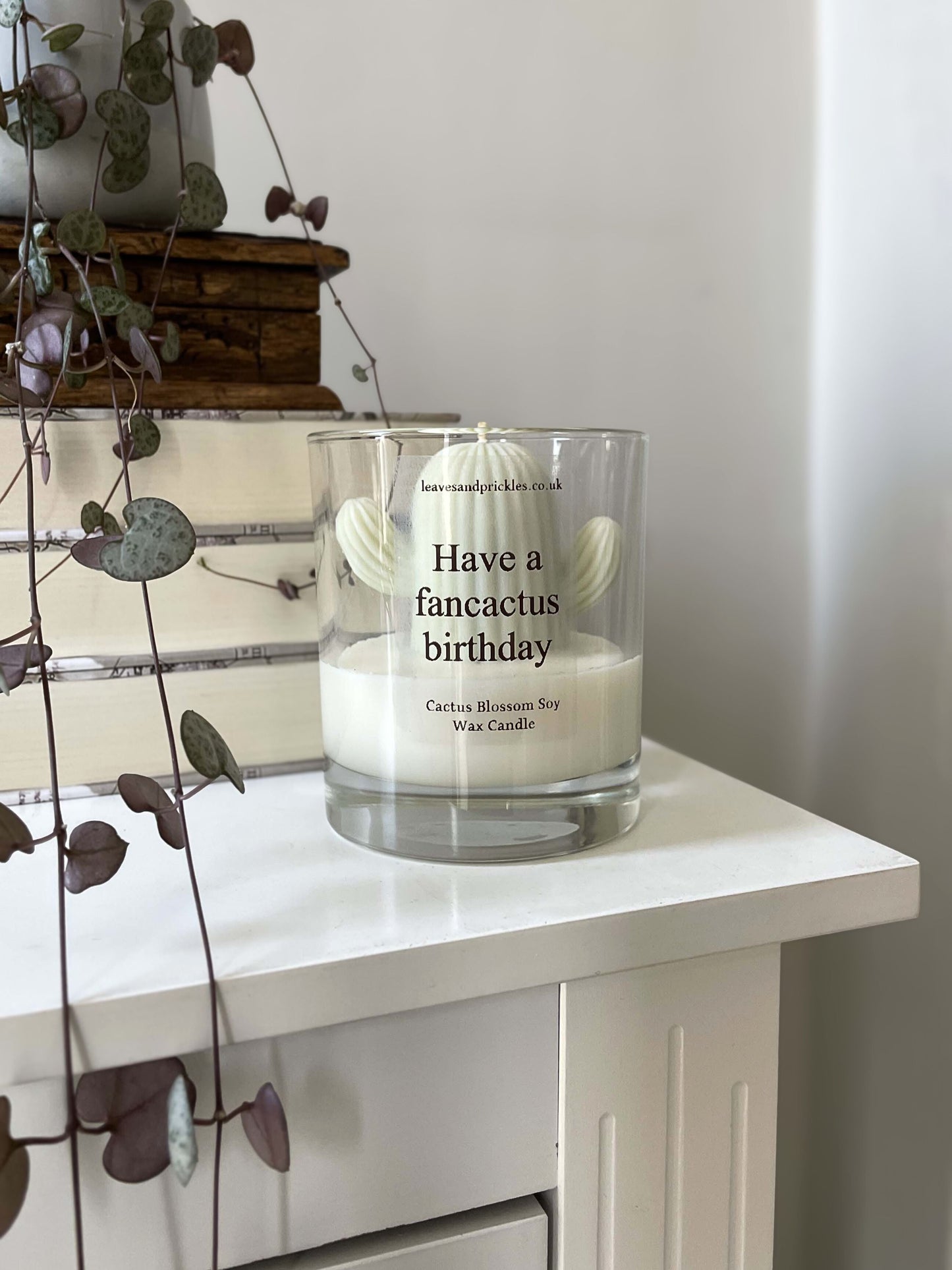 Birthday gift cactus candle in glass jar
