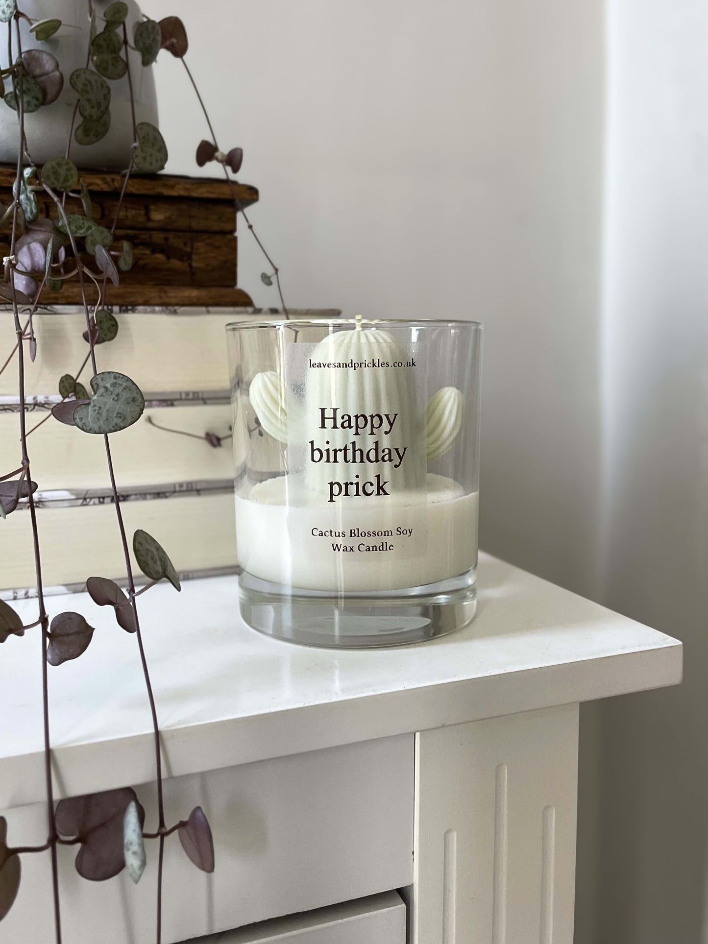 Birthday gift cactus candle in glass jar