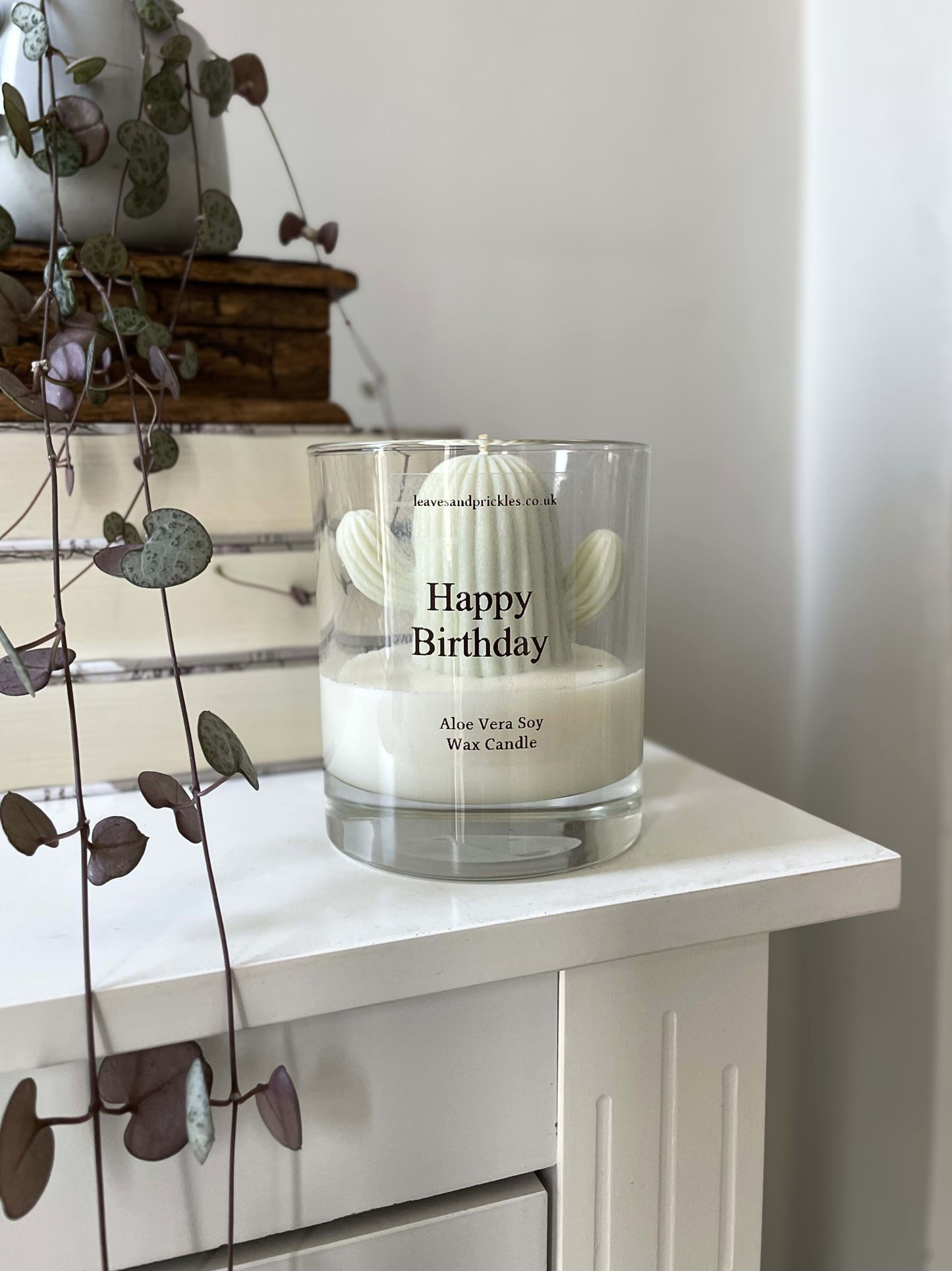 Birthday gift cactus candle in glass jar