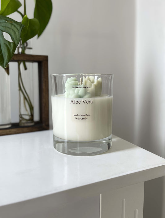 Cacti and succulent terrarium candle in glass jar aloe vera scent