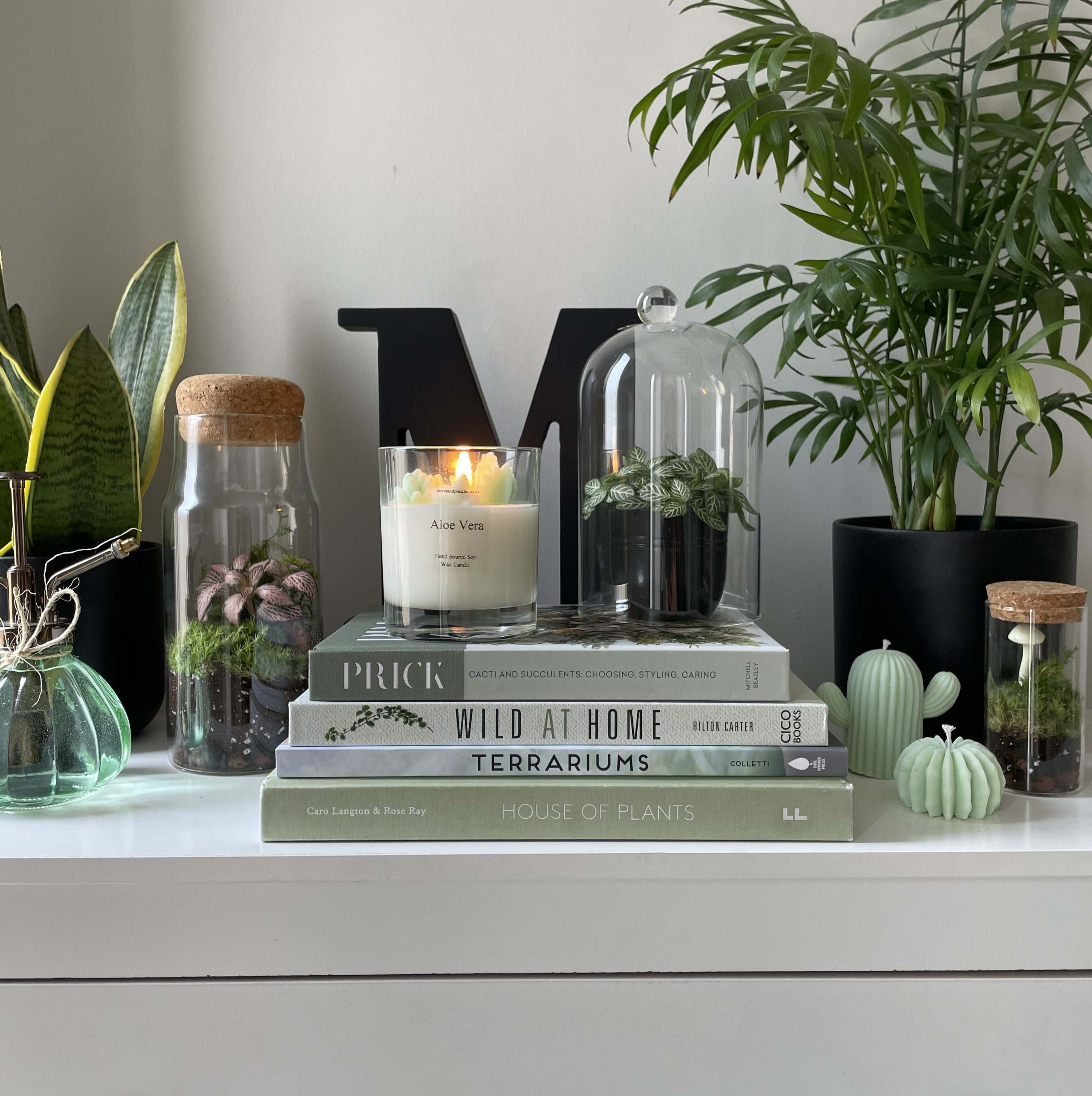 Cactus candles and terrariums