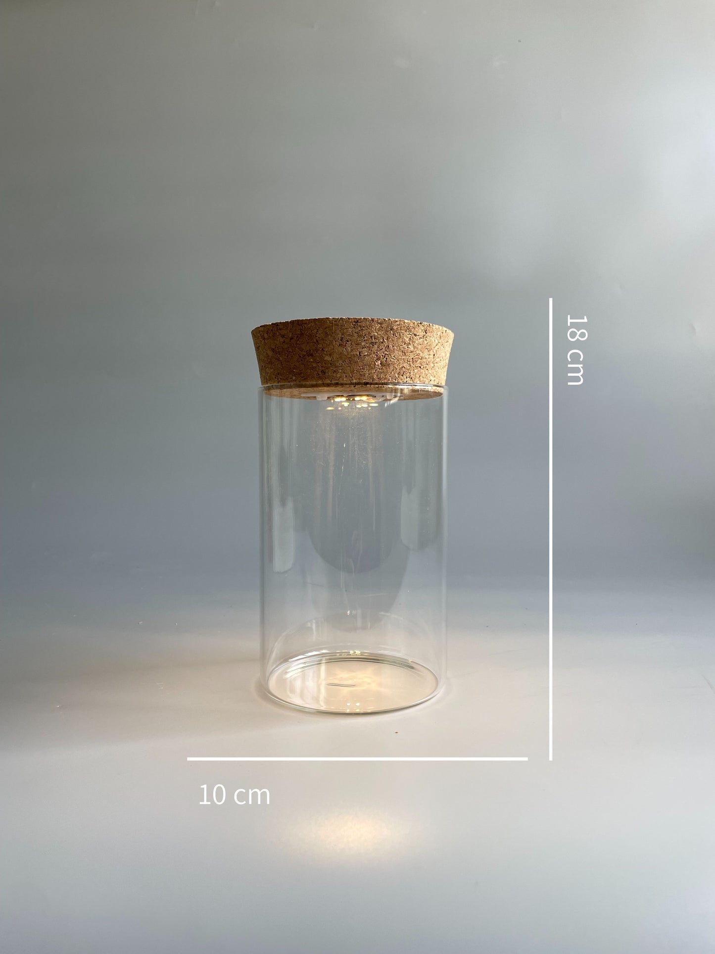 Light-up Terrarium Container - H:18cm D:10cm