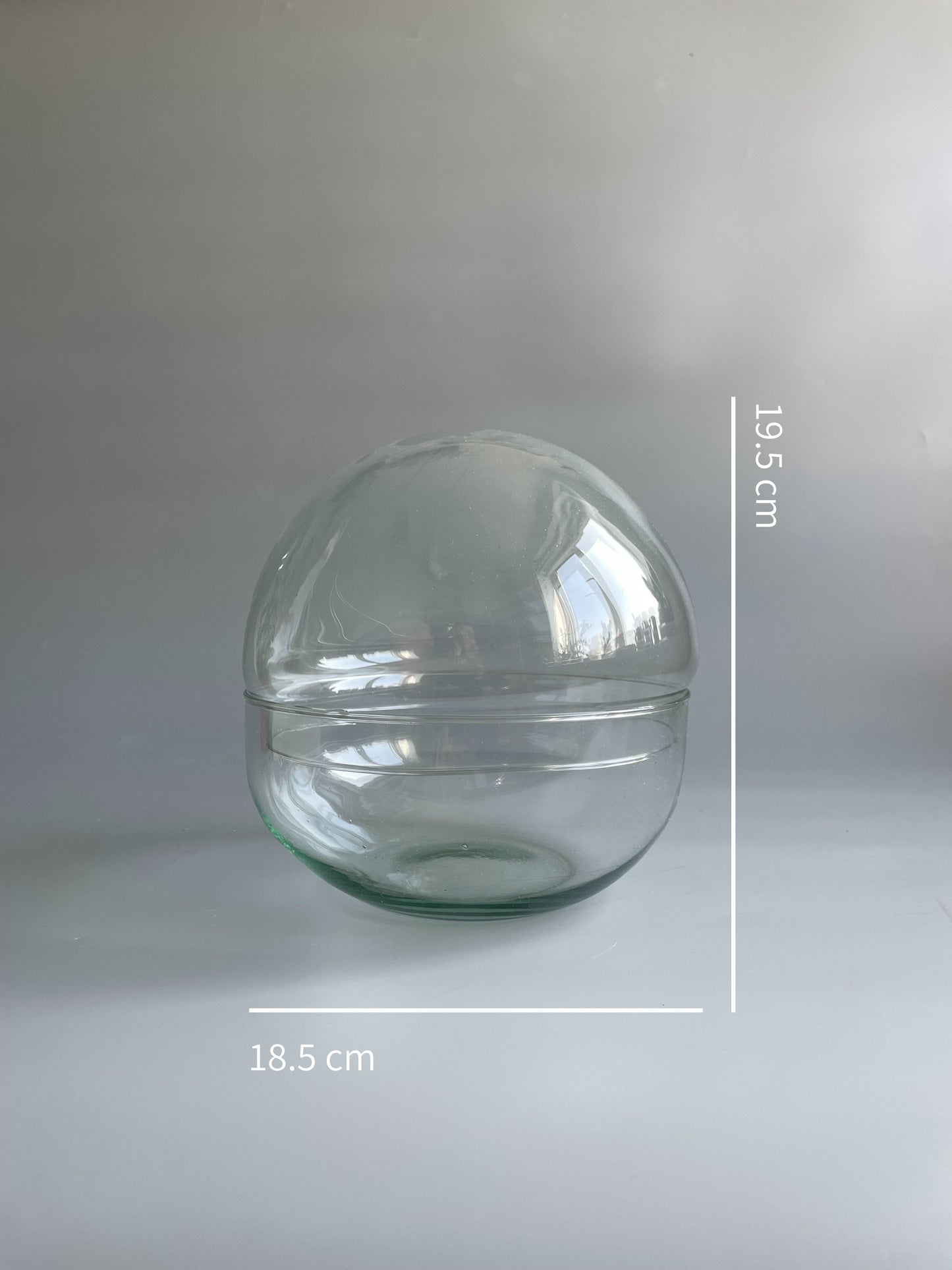 Glass Bowl Terrarium Container - H: 19.5cm D: 18.5cm