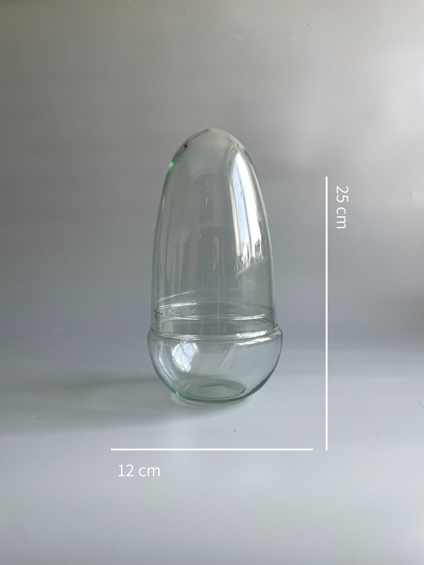 Glass Egg Terrarium Container - H: 25cm D: 12cm