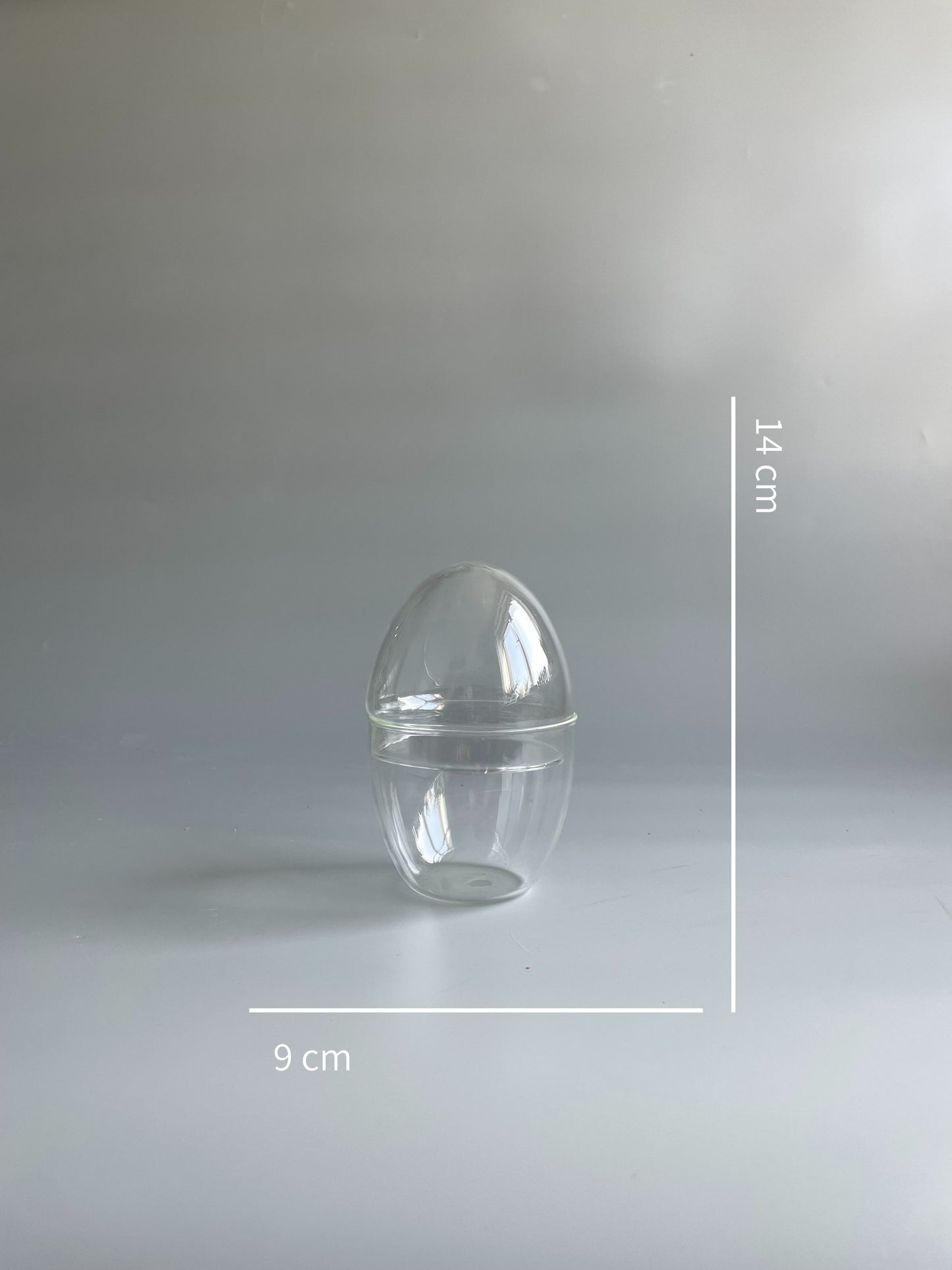 Glass Egg Terrarium Container - H: 14cm D: 9cm