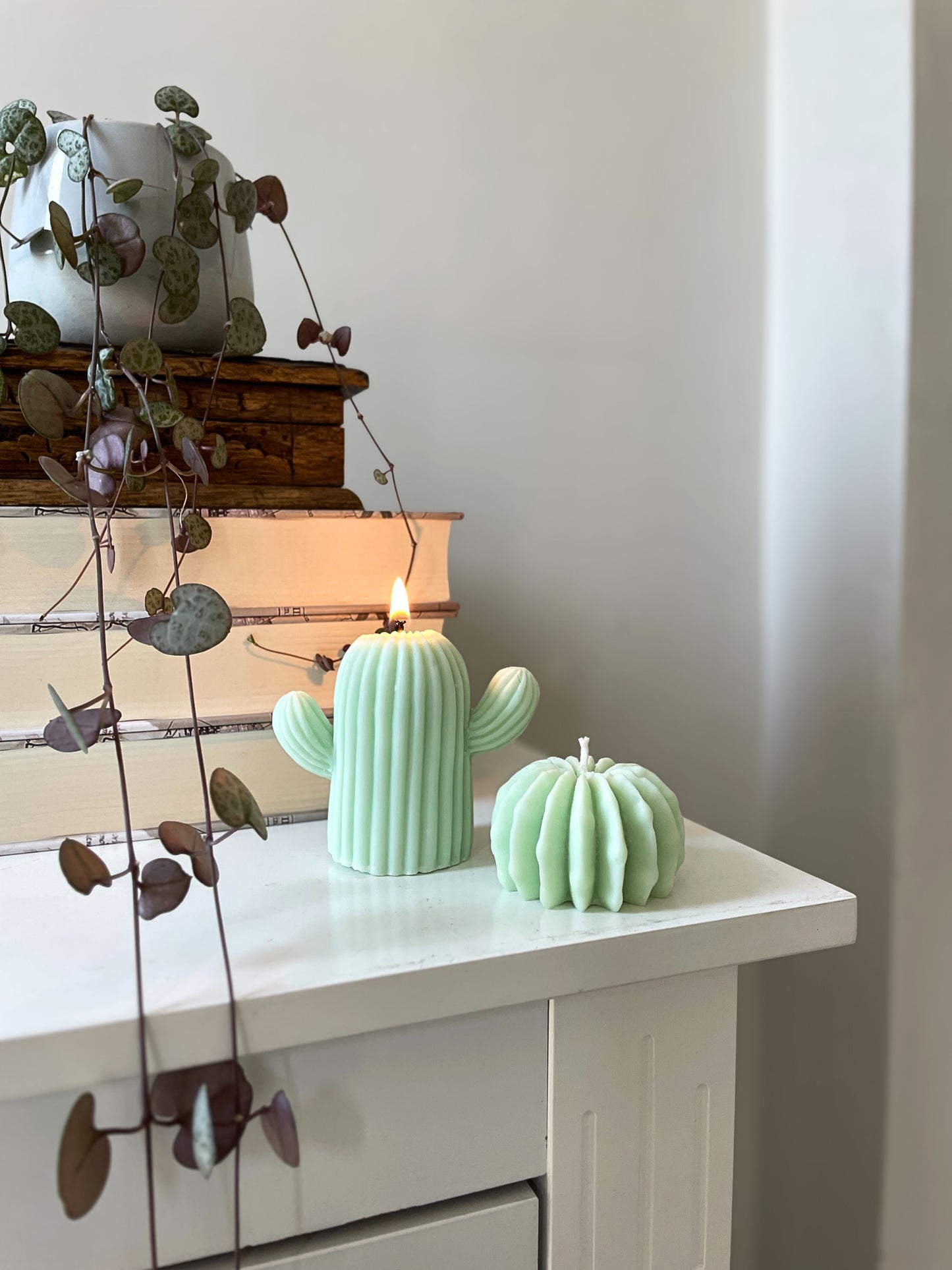Decorative cactus candles