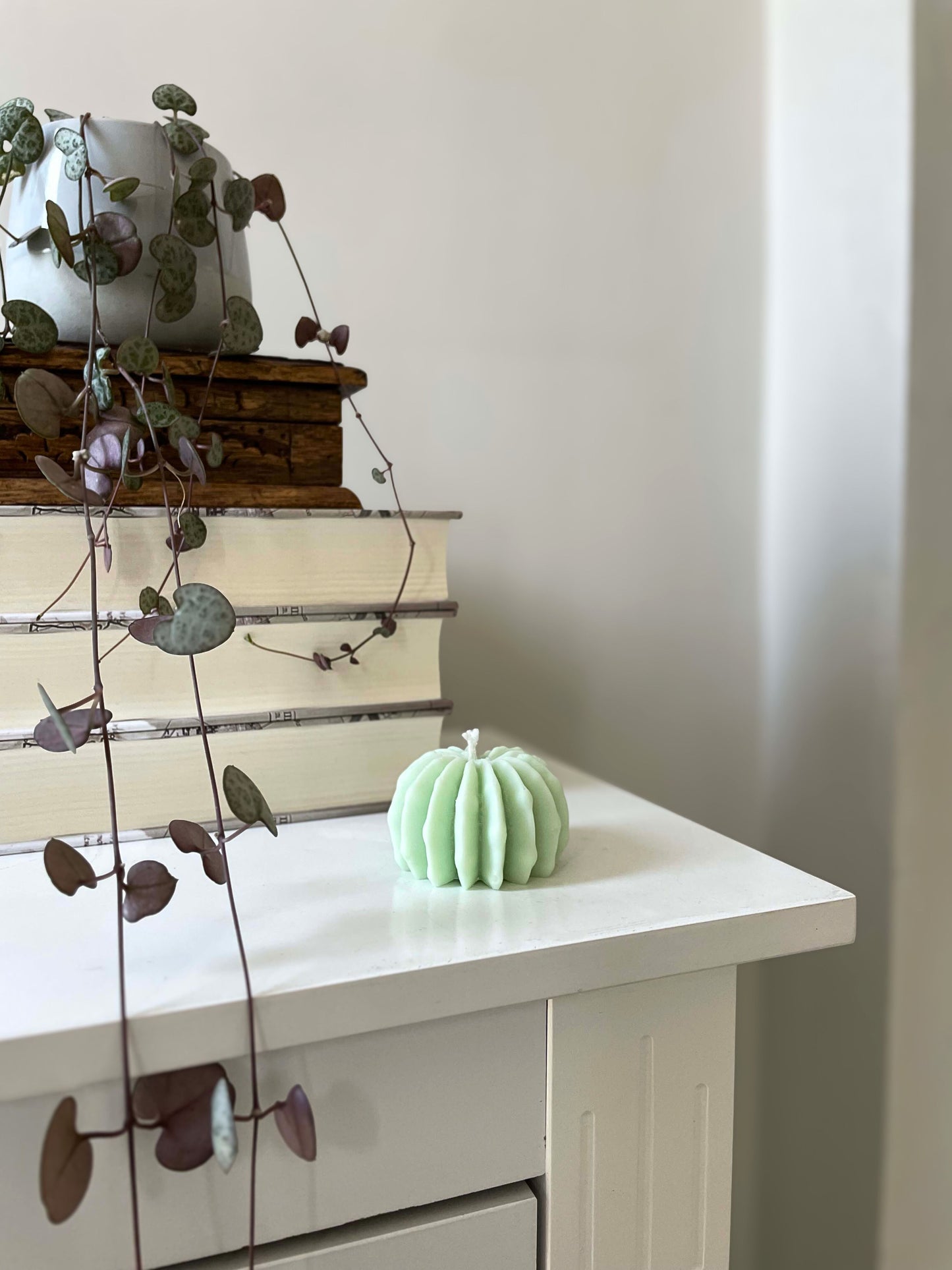 Decorative round cactus candle