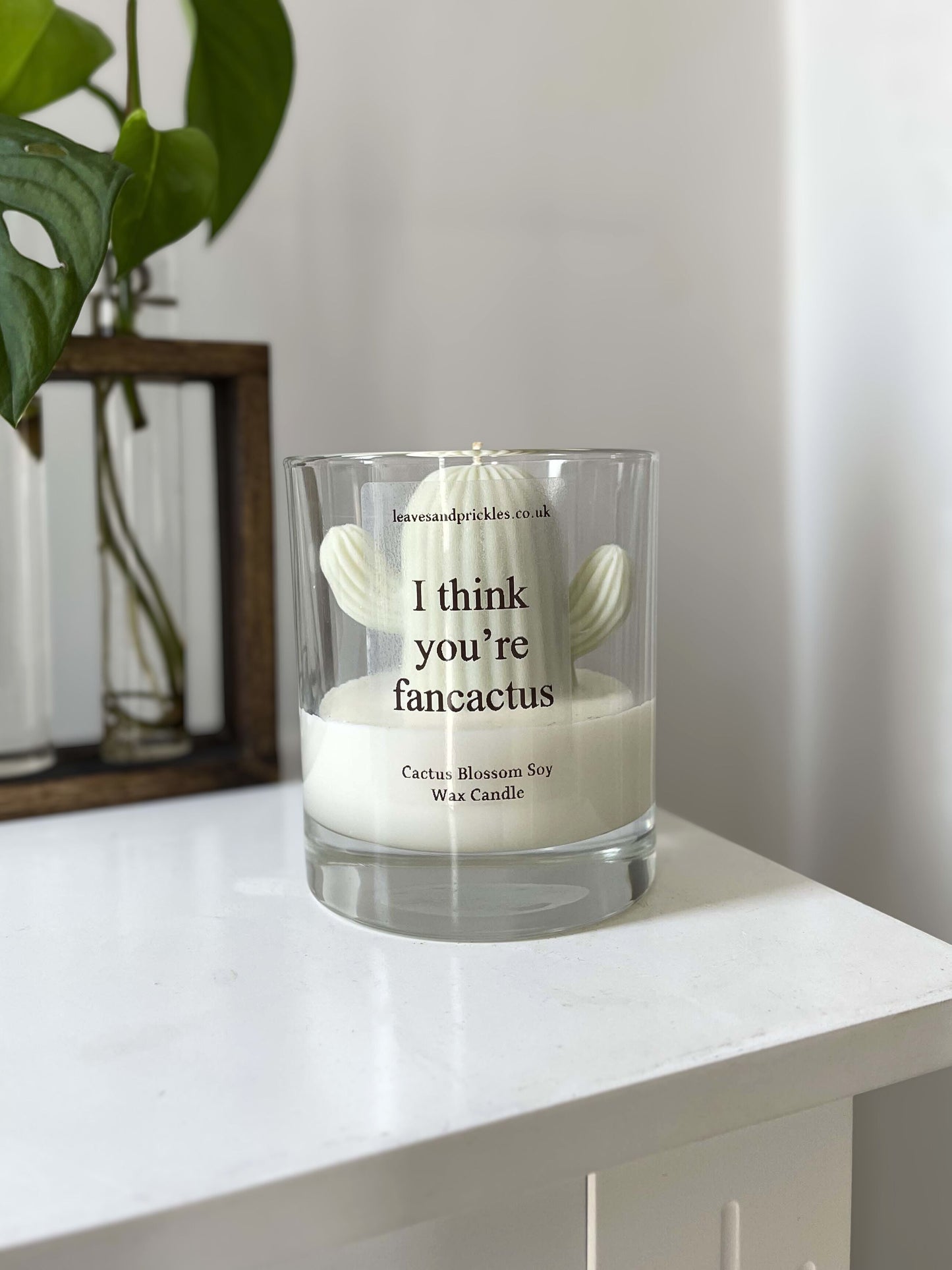 Funny green cactus candle in glass jar