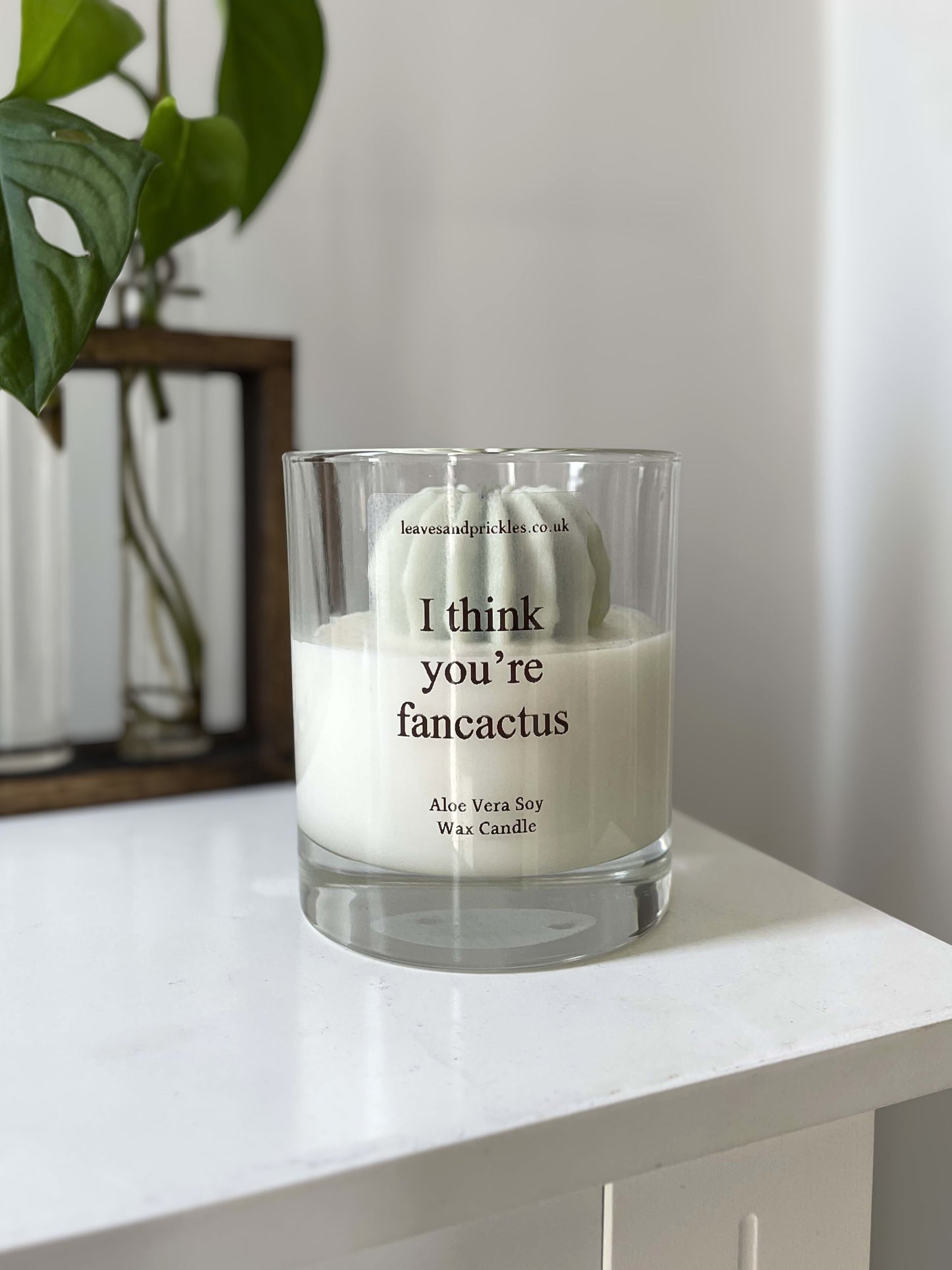Funny green round cactus candle in glass jar