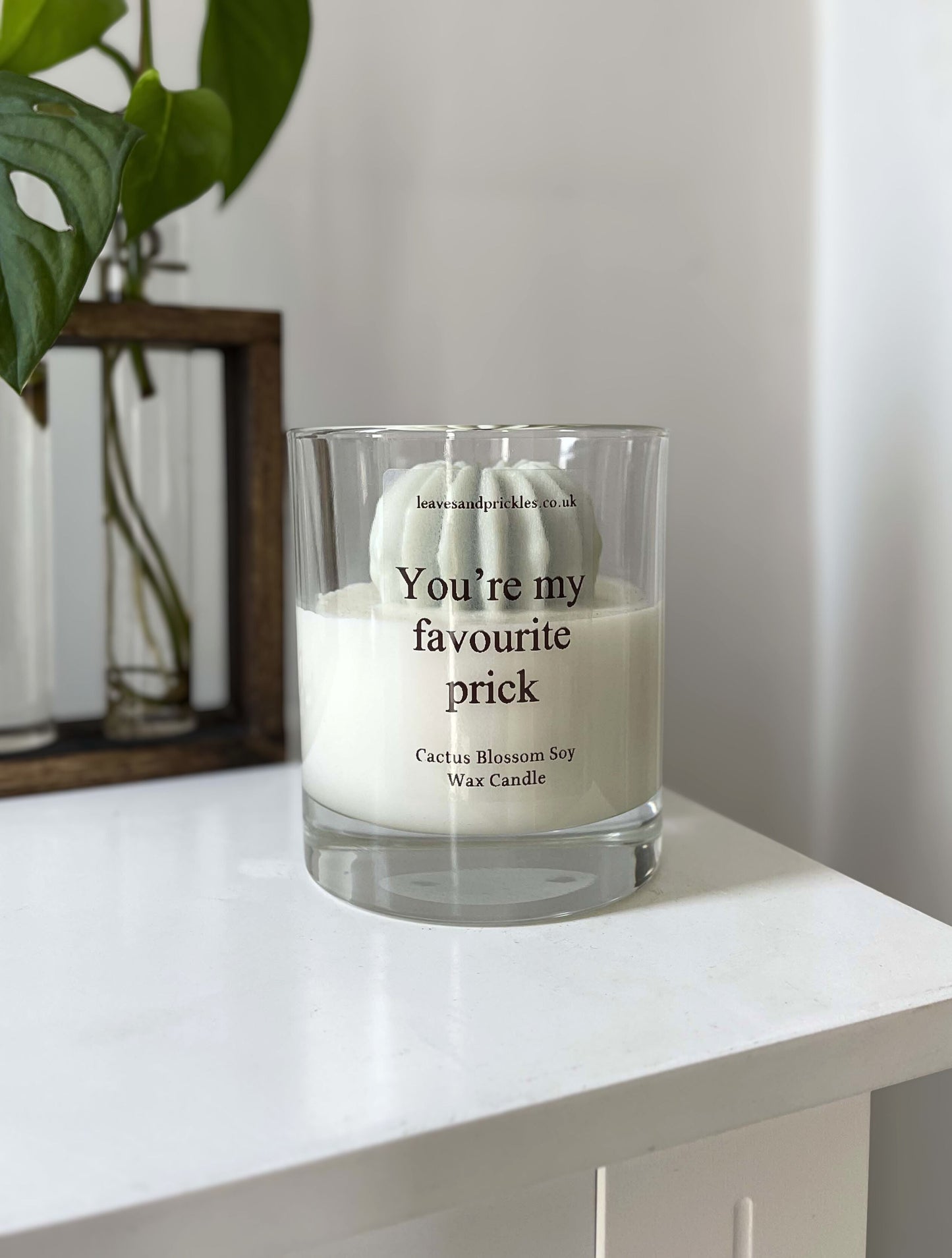 Funny green round cactus candle in glass jar