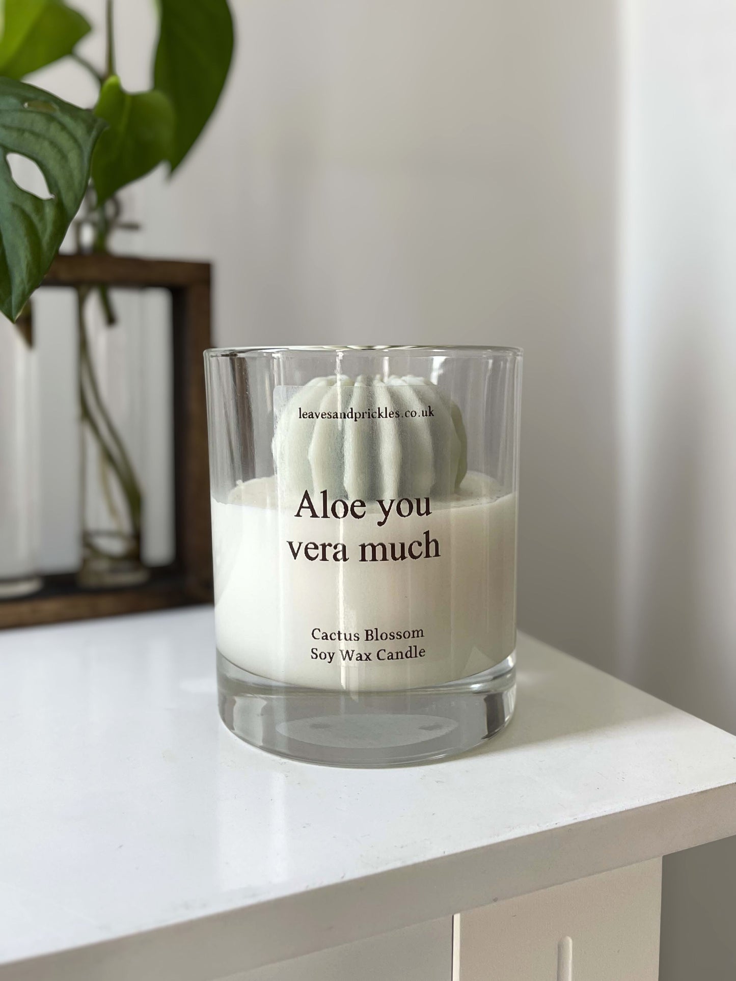 Funny green round cactus candle in glass jar
