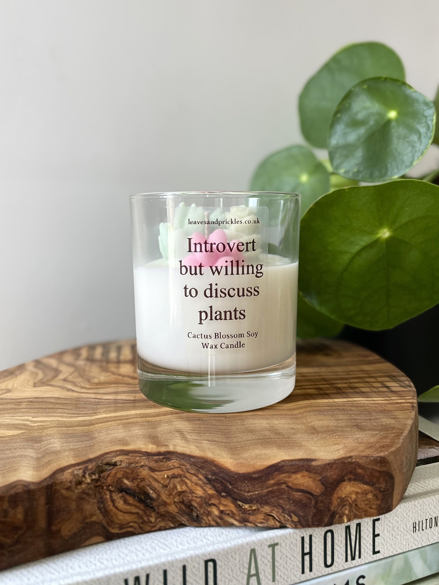 Gift for plant lovers cacti and succulents terrarium candle in glass jar