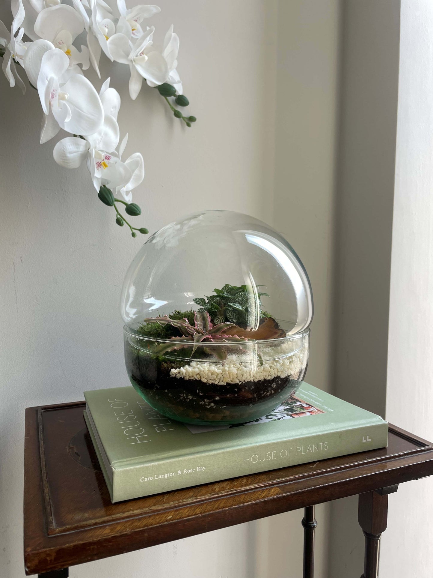 Glass Bowl Terrarium Kit - H: 19.5cm D: 18.5cm