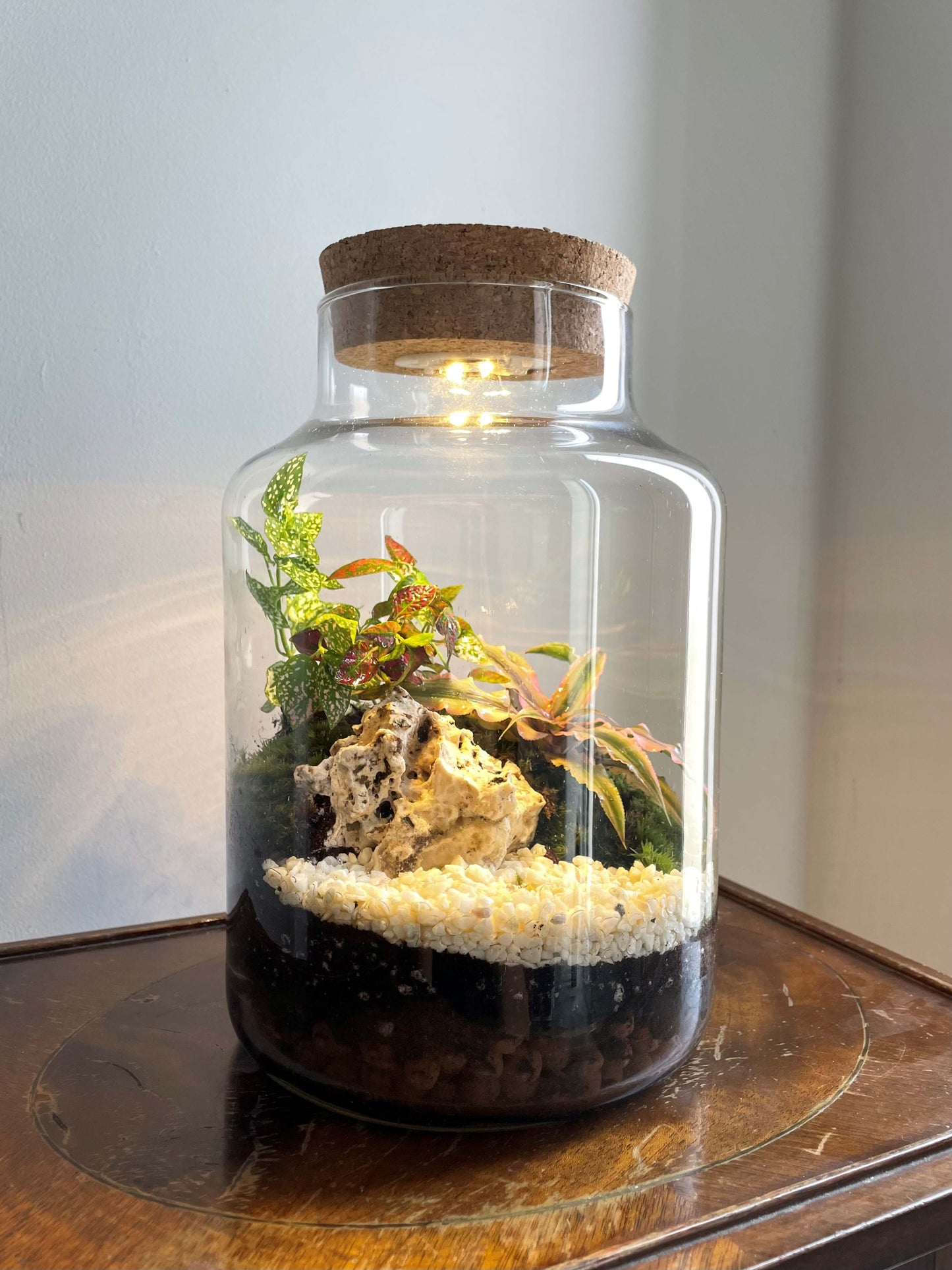 Light-up Terrarium Kit - H: 25.5cm D: 17cm