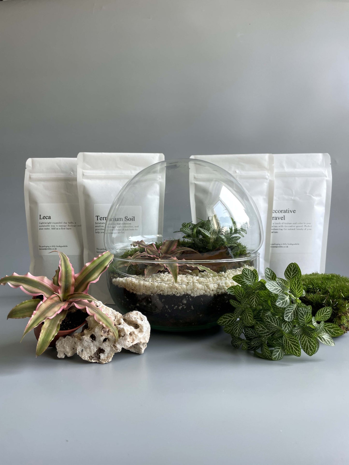 Glass Bowl Terrarium Kit - H: 19.5cm D: 18.5cm