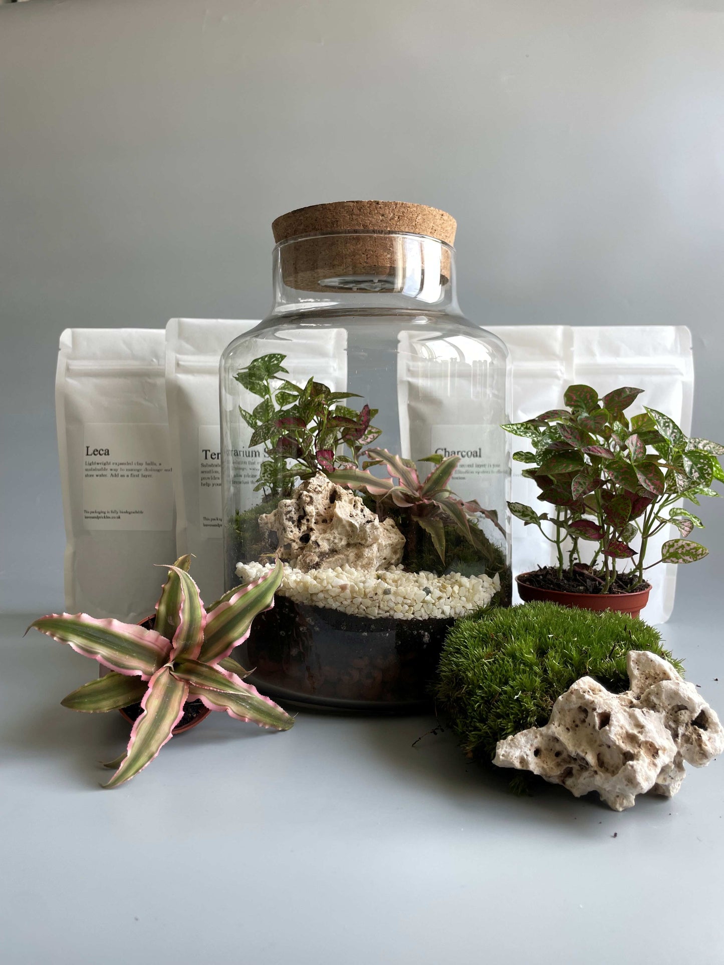 Light-up Terrarium Kit - H: 25.5cm D: 17cm