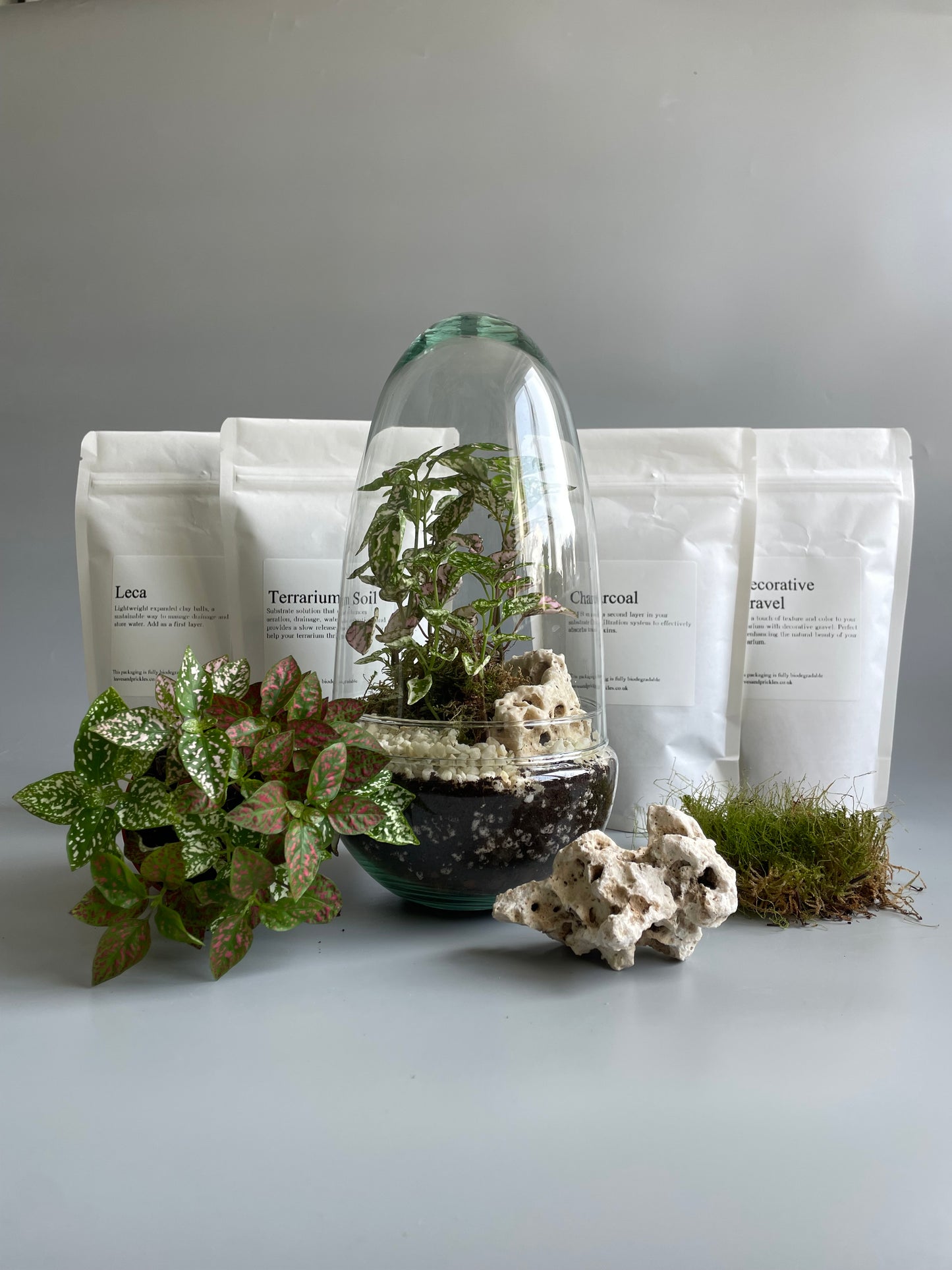 Glass Egg Terrarium Kit - H: 25cm D: 12cm