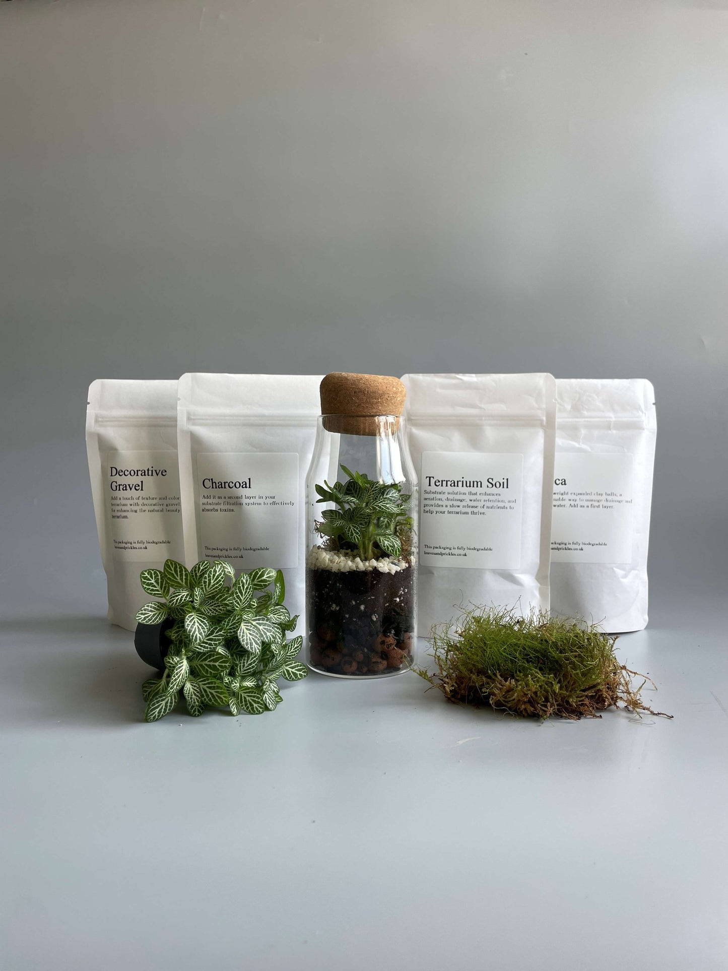 Bottle Terrarium Kit - H: 17cm D: 7cm