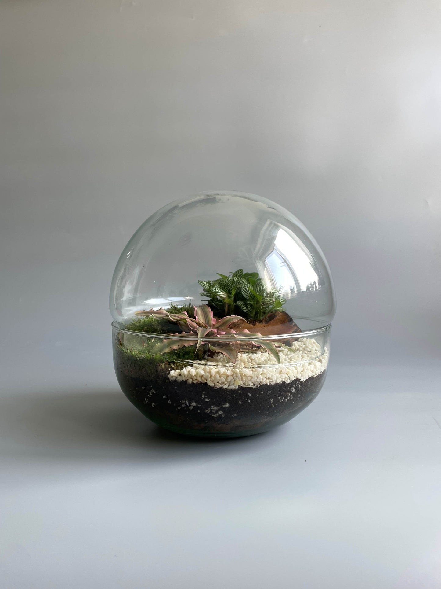 Glass Bowl Terrarium Kit - H: 19.5cm D: 18.5cm