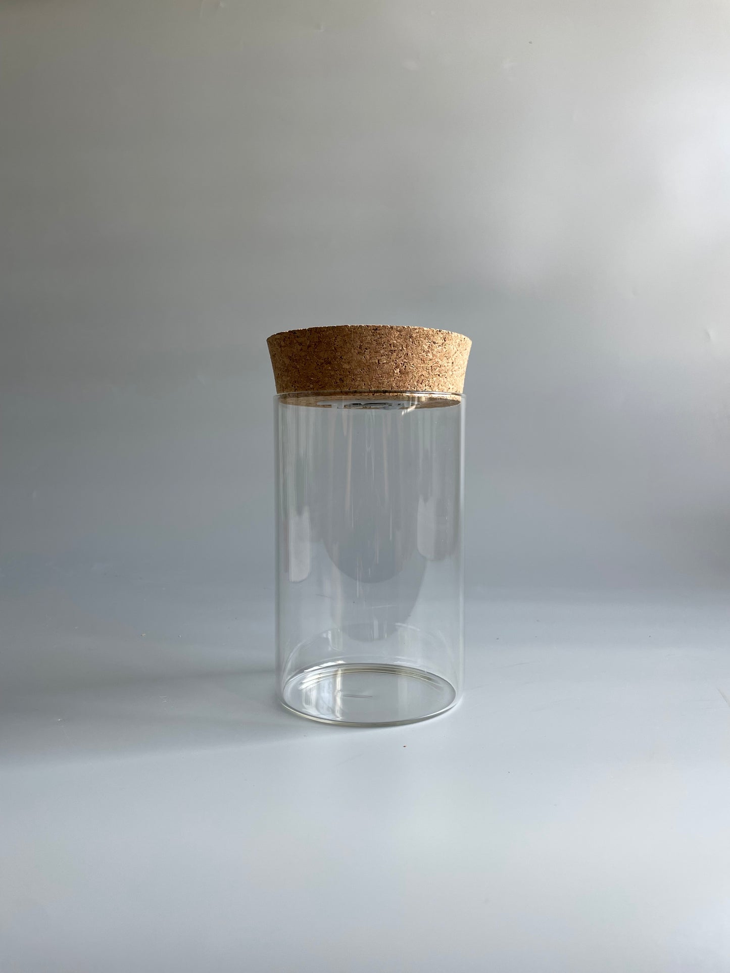 Light-up Terrarium Container - H:18cm D:10cm