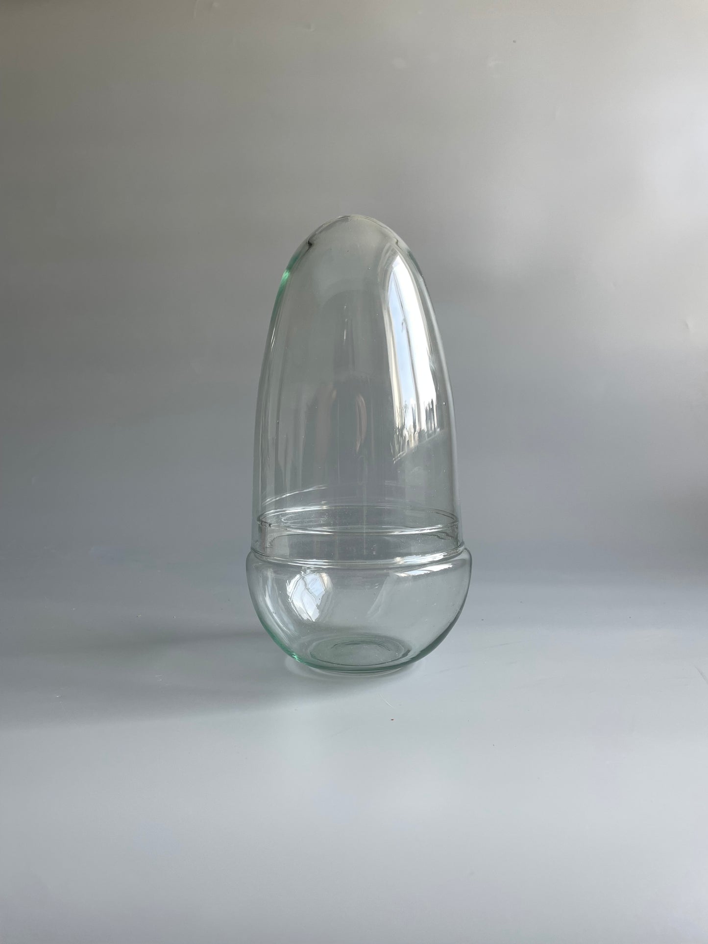 Glass Egg Terrarium Container - H: 25cm D: 12cm