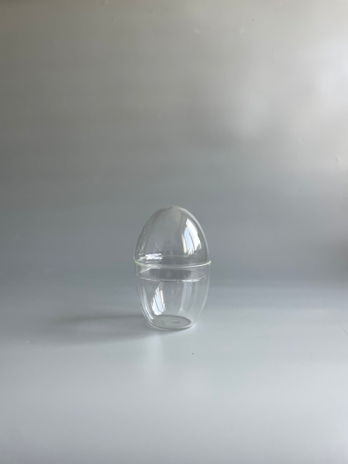 Glass Egg Terrarium Container - H: 14cm D: 9cm