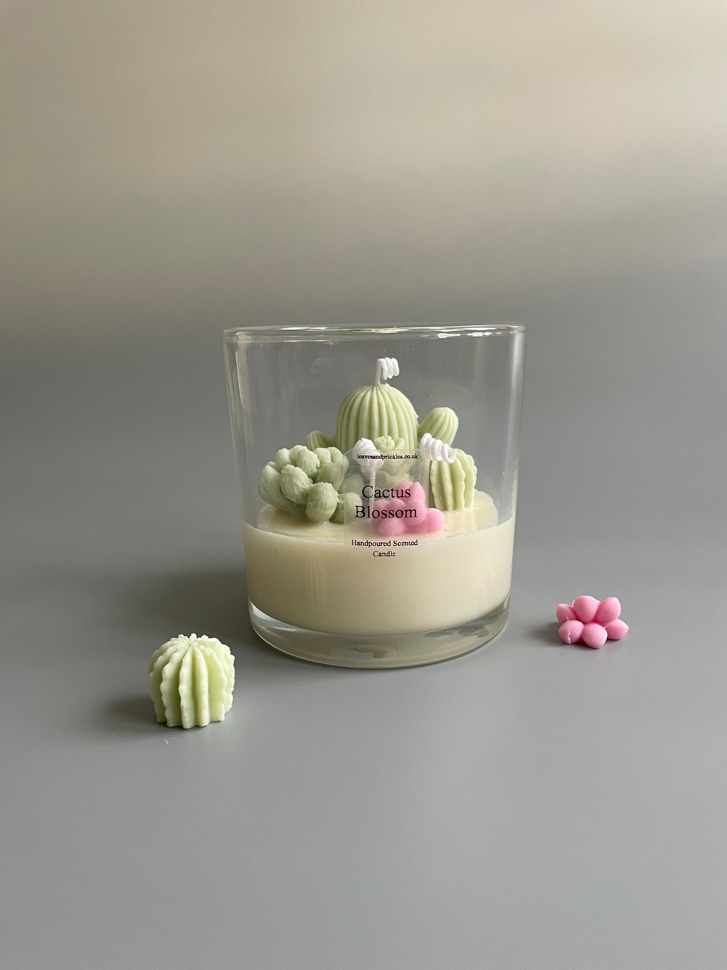 Handmade Terrarium Cactus Candle - Extra Large