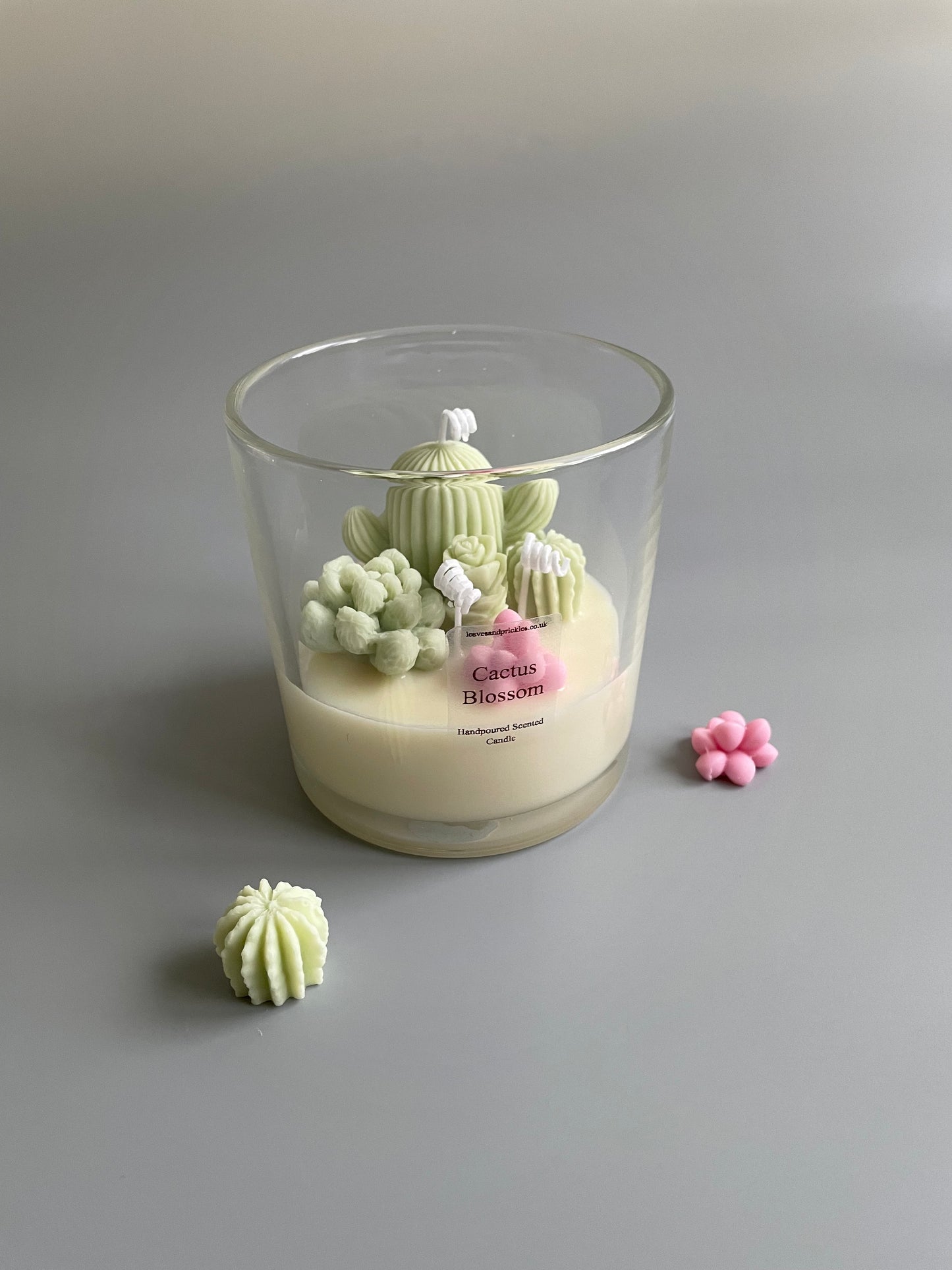 Handmade Terrarium Cactus Candle - Extra Large