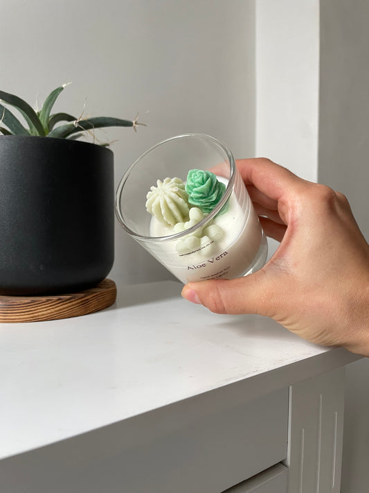 Handmade Small Terrarium Cactus Candle - Aloe Vera Scent