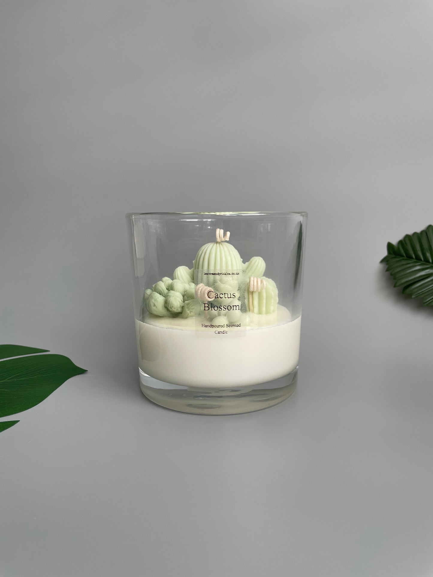 Handmade Terrarium Cactus Candle - Extra Large
