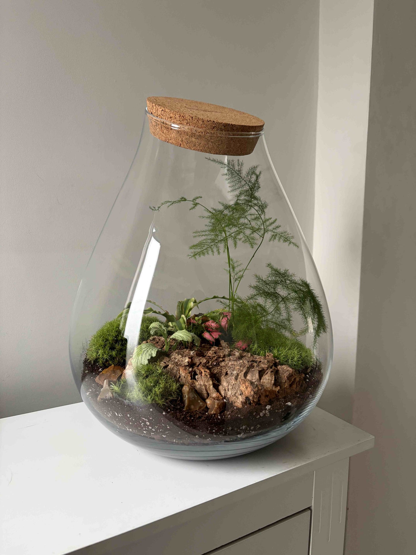 Glass terrarium with plants