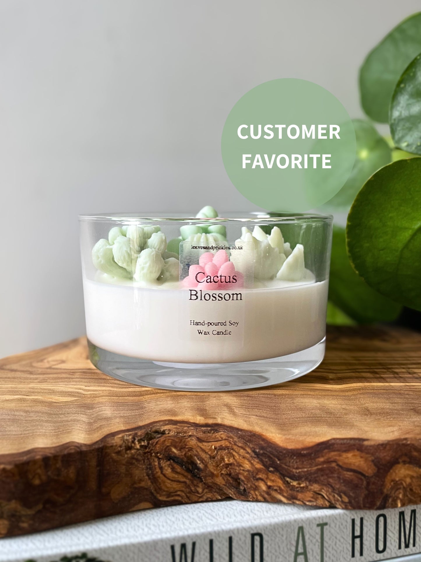 Large Three-Wick Cactus Blossom Candle Pink & Green Terrarium Design in Glass Jar