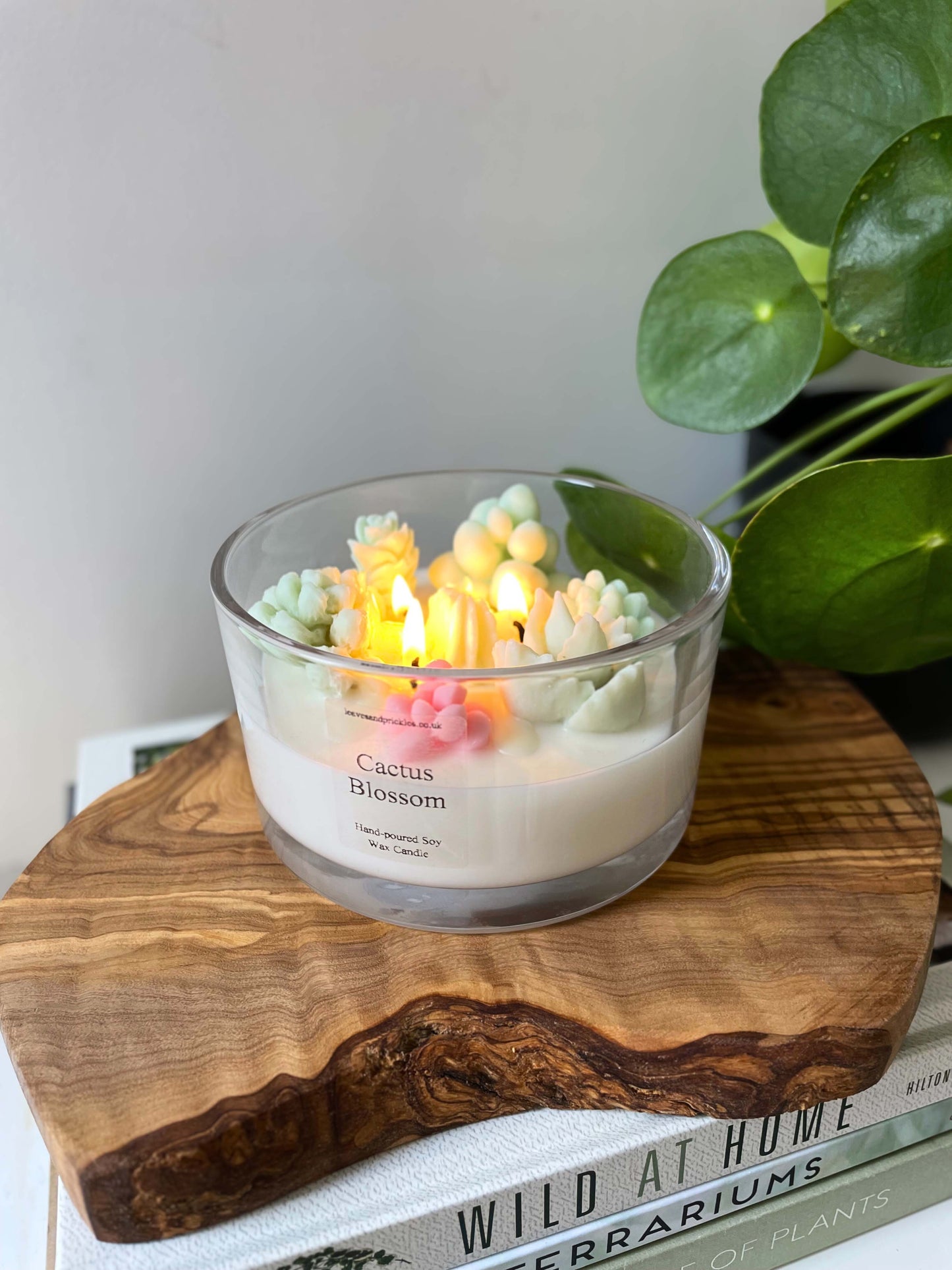 Large Three-Wick Cactus Blossom Candle Pink & Green Terrarium Design in Glass Jar