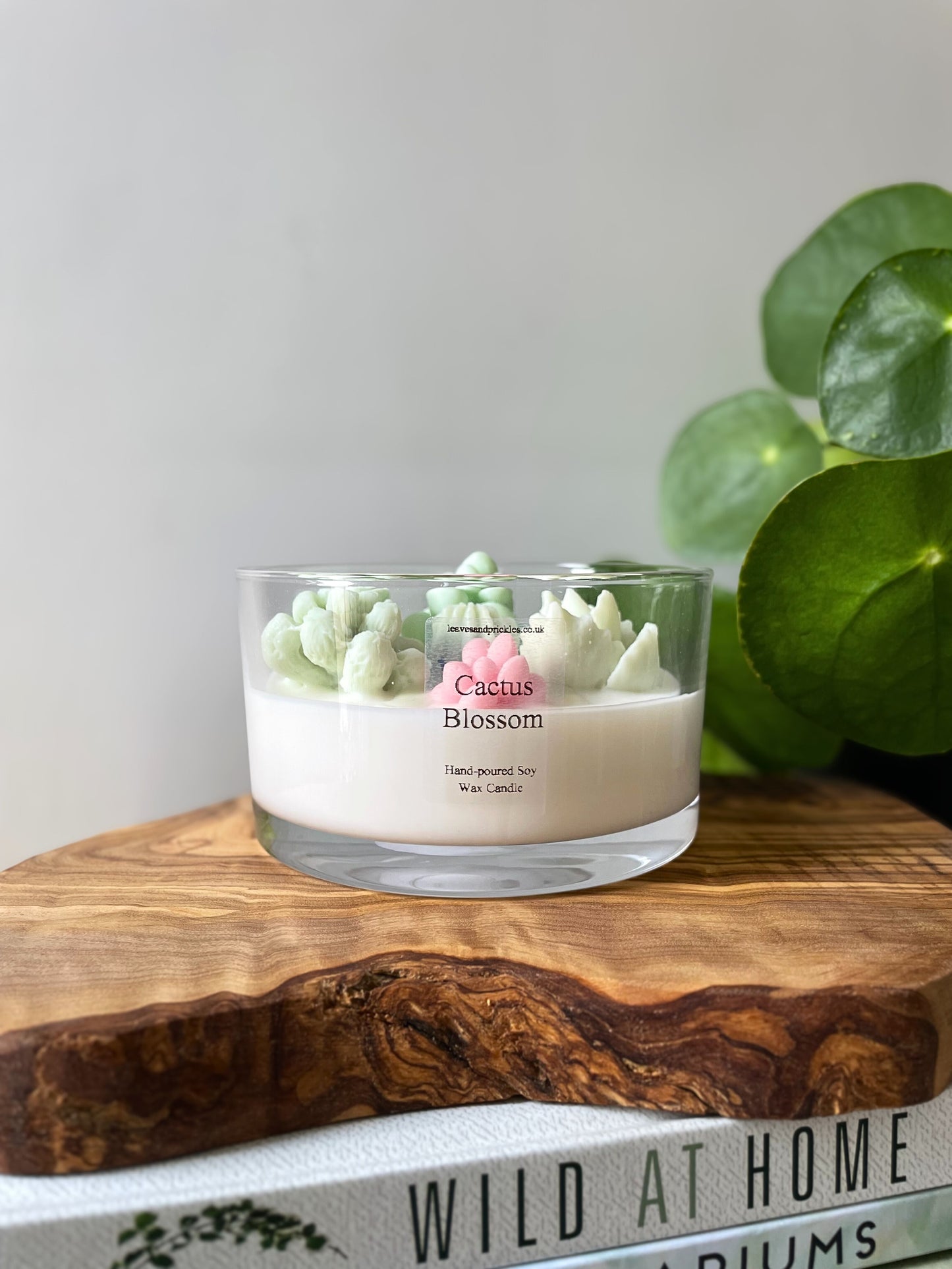 Large Three-Wick Cactus Blossom Candle Pink & Green Terrarium Design in Glass Jar