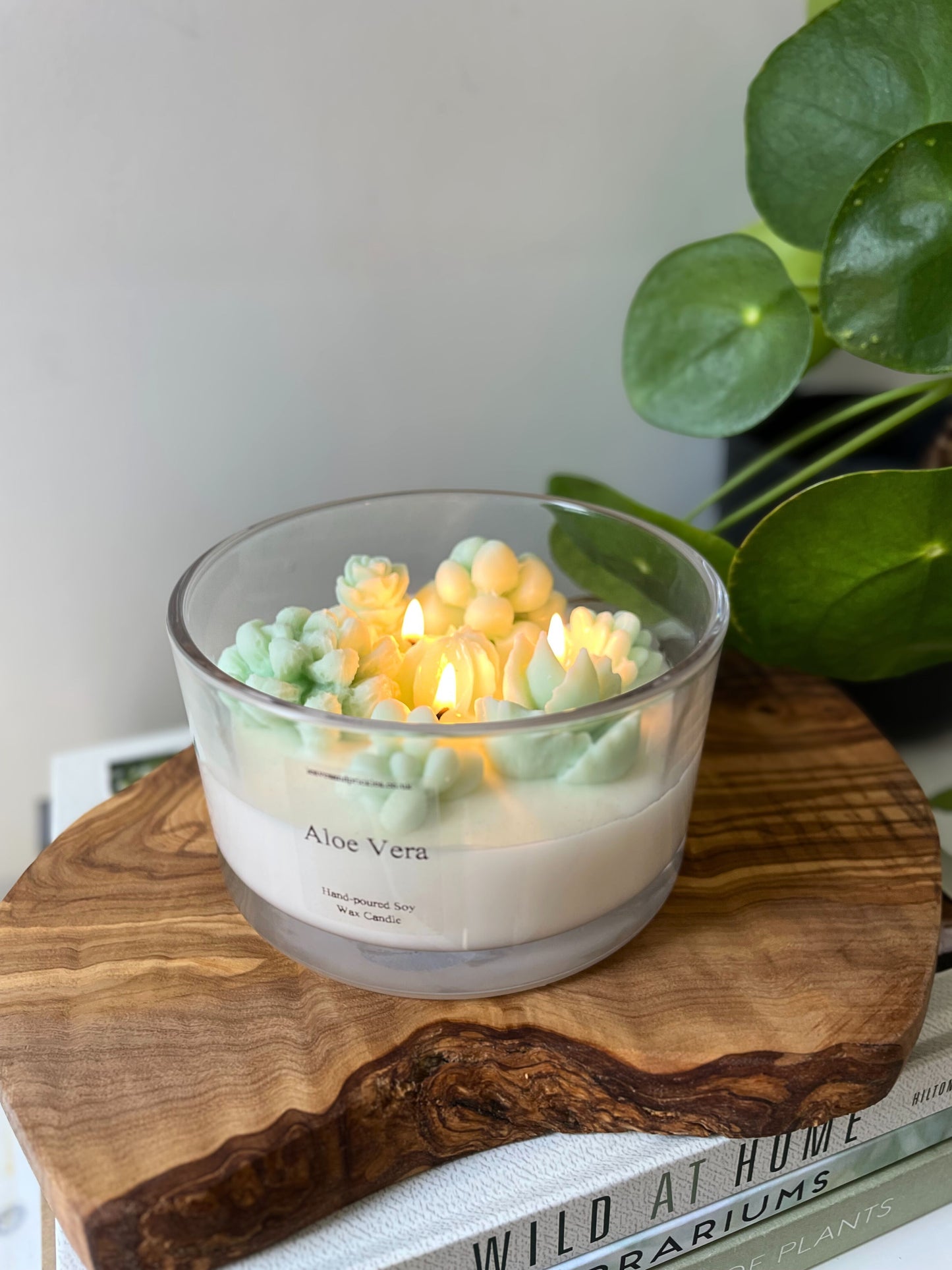 Large terrarium cactus candle in glass jar aloe vera scent