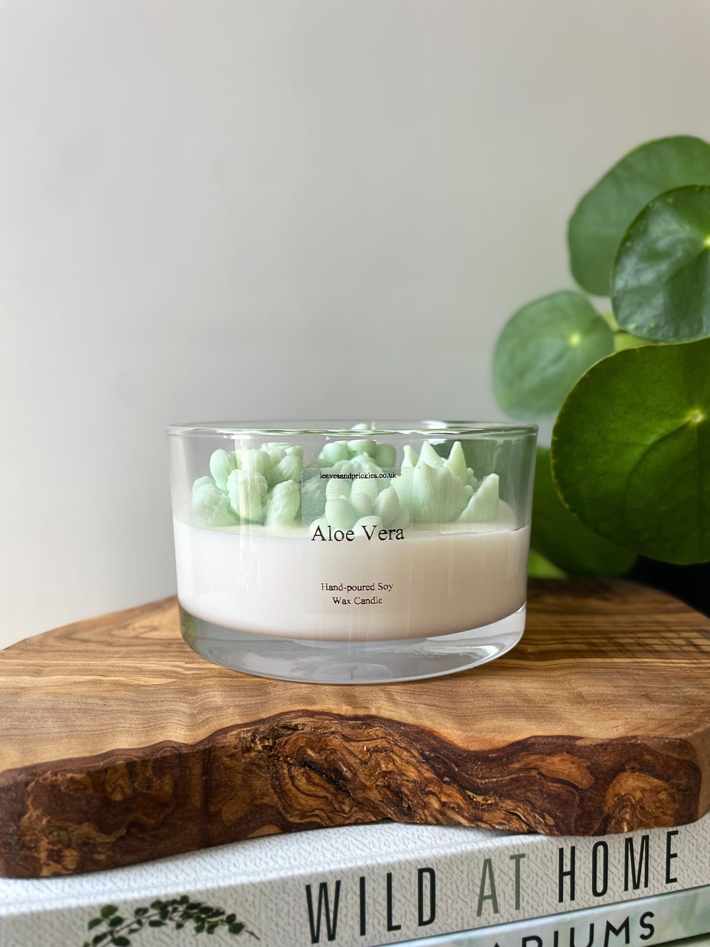 Large terrarium cactus candle in glass jar aloe vera scent