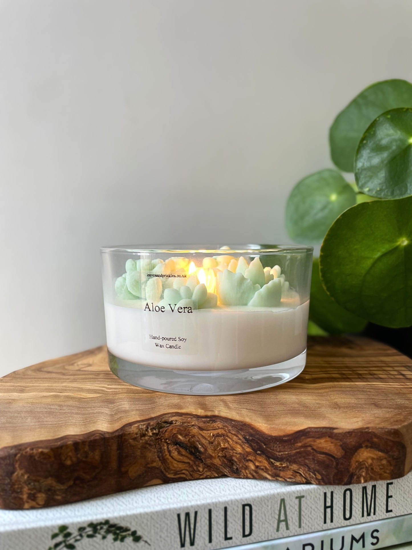 Large terrarium cactus candle in glass jar aloe vera scent