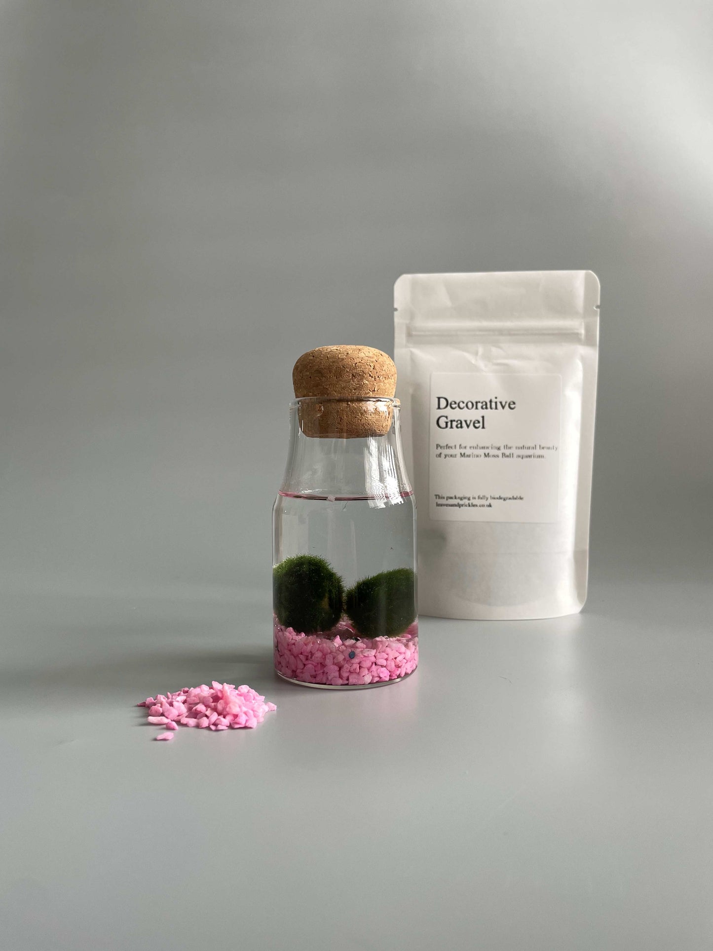 Marimo moss balls kit
