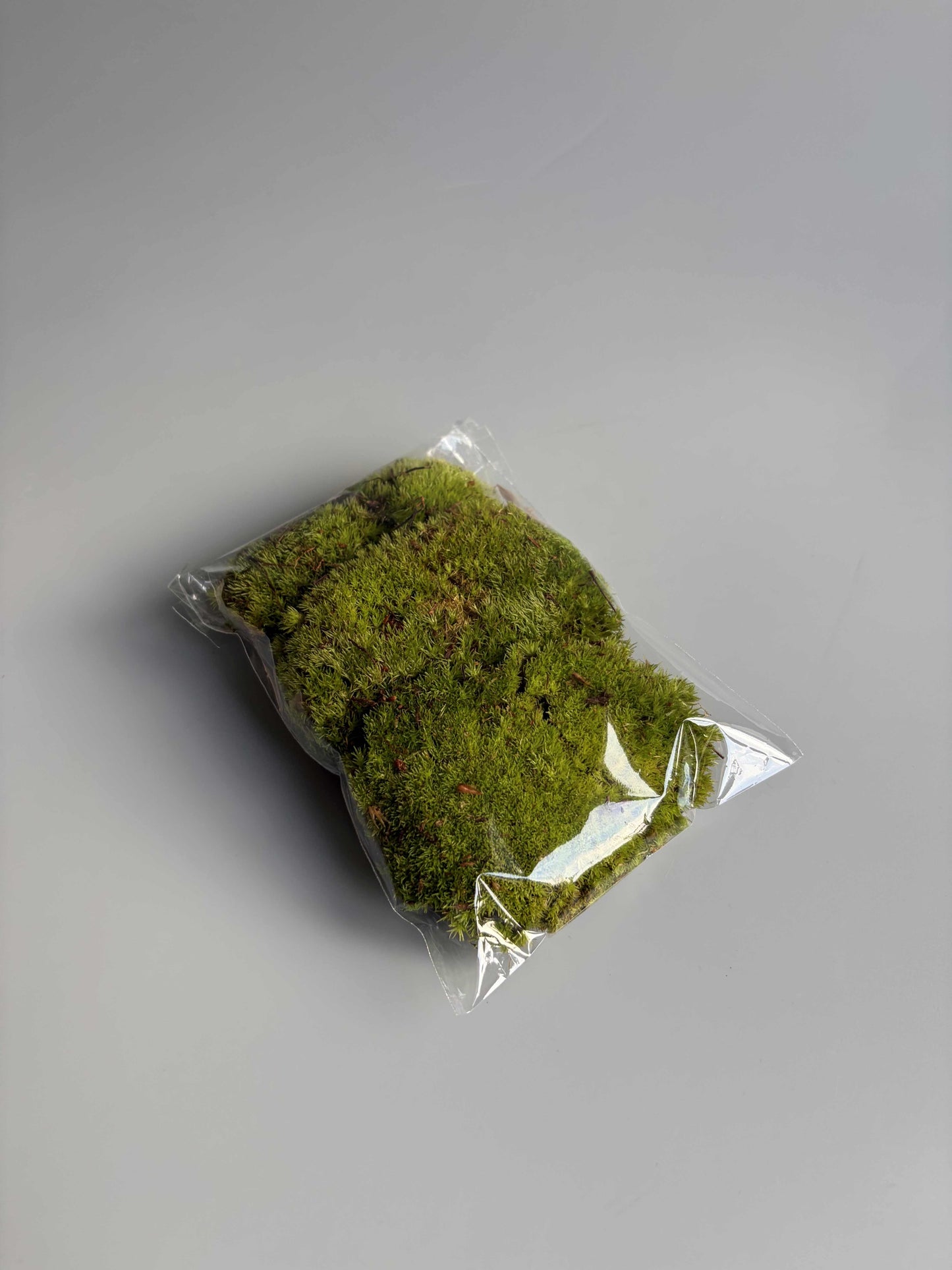 Packaged Bun Moss