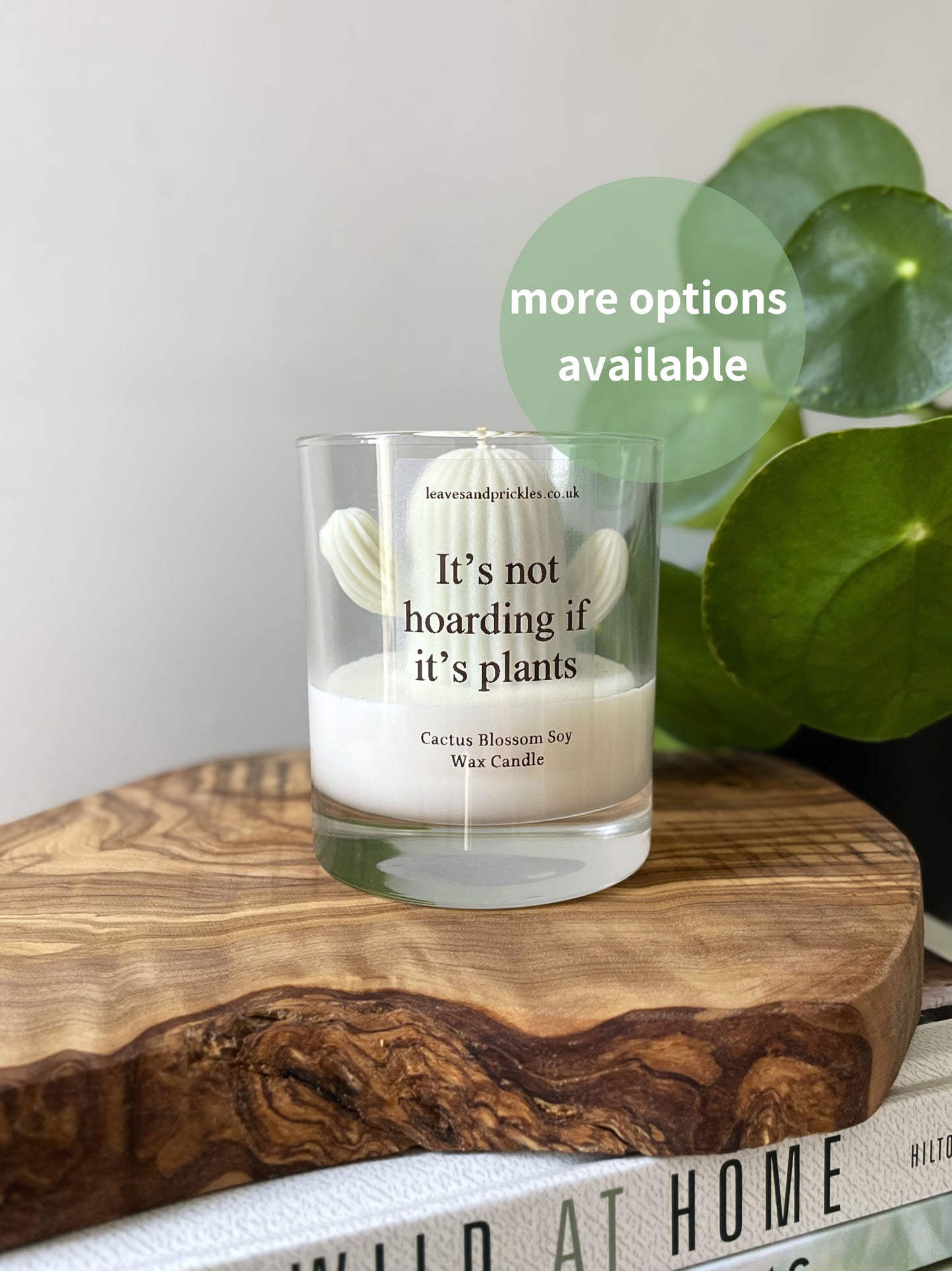Plant lover cactus candle in glass jar