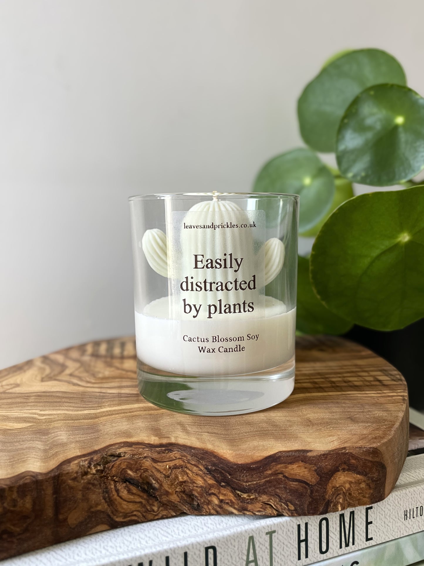 Plant lover gift cactus candle in glass jar