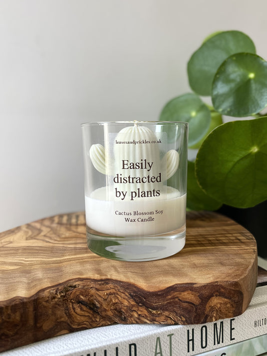 Plant lover gift cactus candle in glass jar