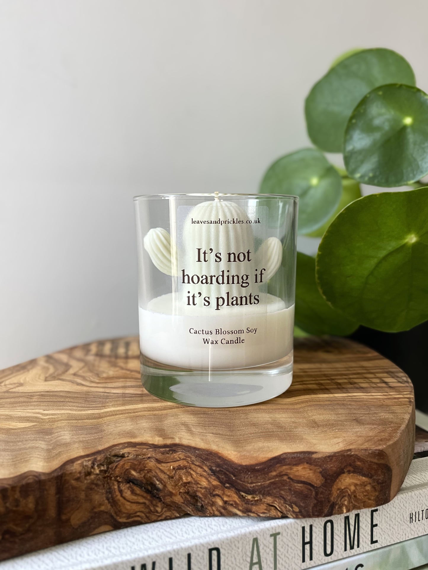 Plant lover gift cactus candle in glass jar