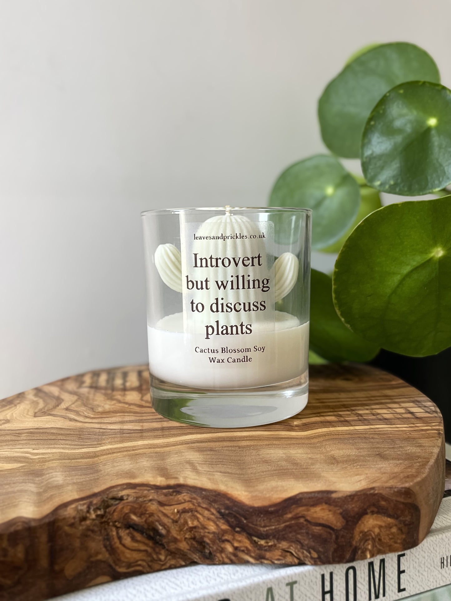Plant lover gift cactus candle in glass jar