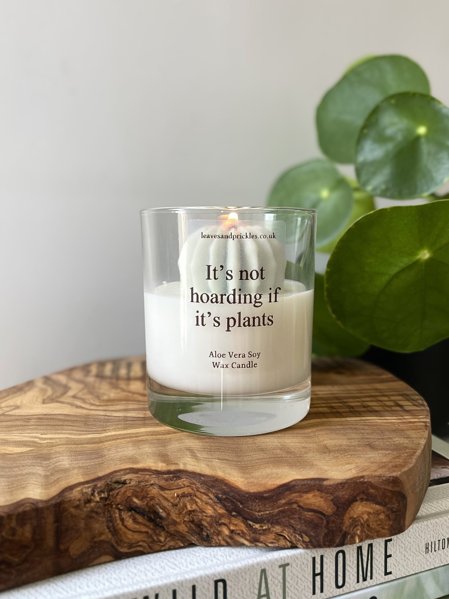 Plant lover gift round cactus candle in glass jar 3