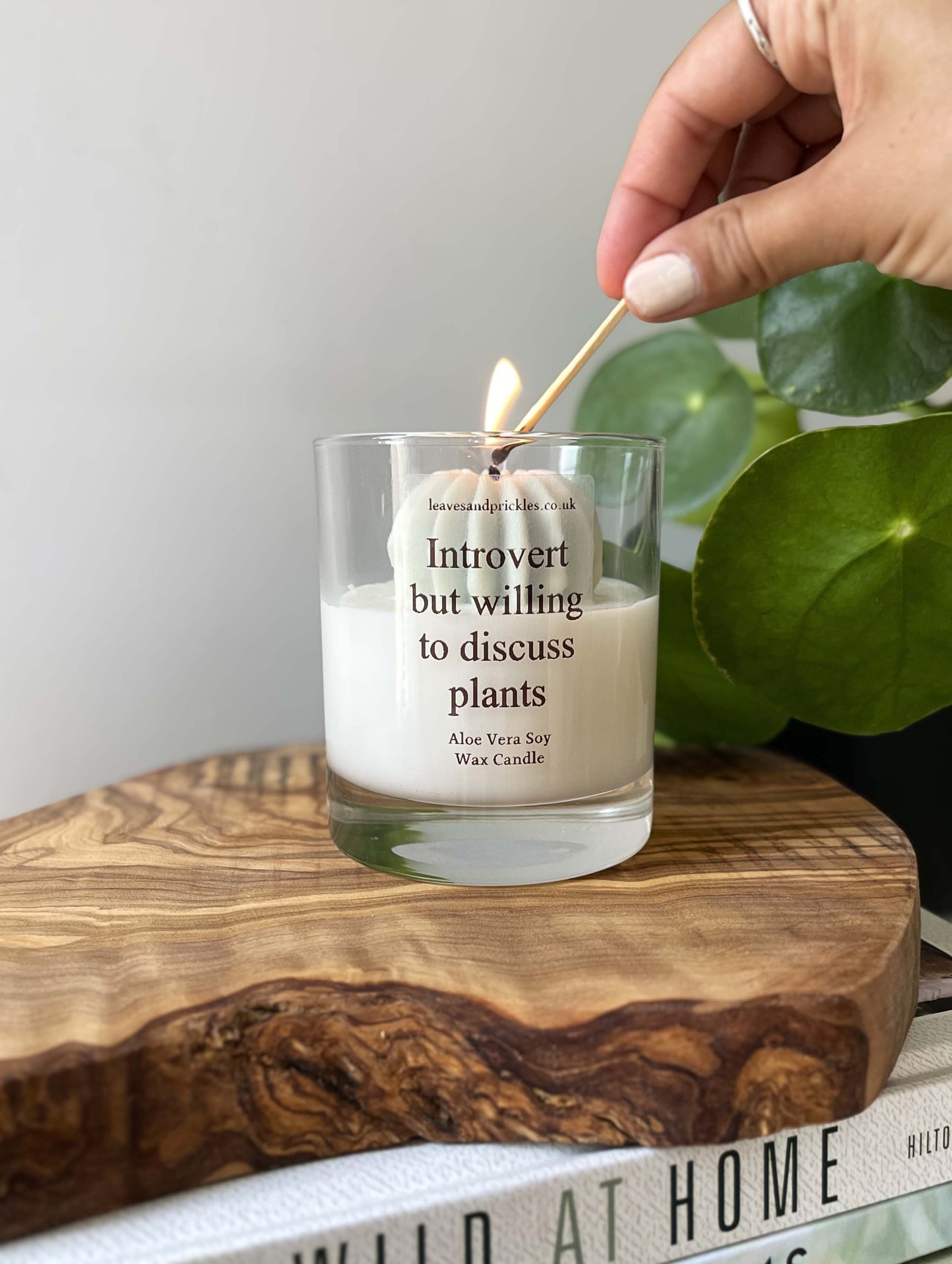Plant lover gift round cactus candle in glass jar